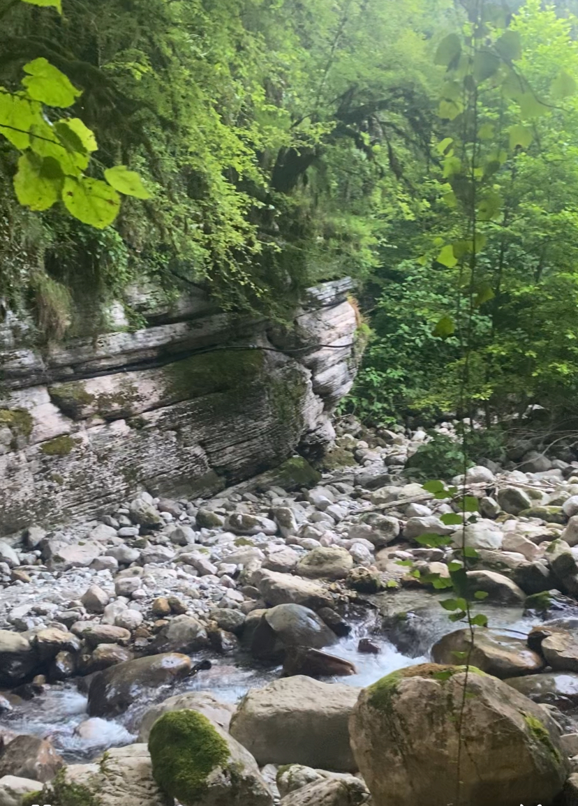 ЭКО-Глэмпинг БУНГАЛО, Гагра — фото 172