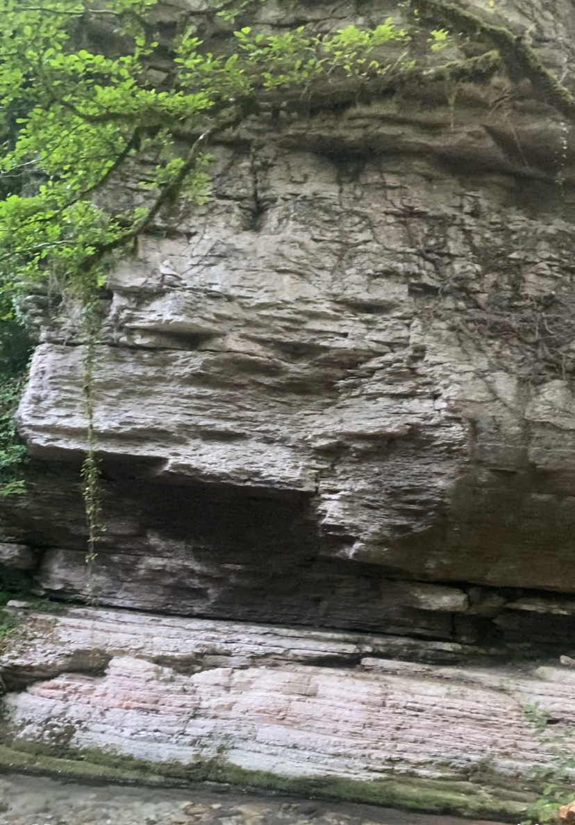 ЭКО-Глэмпинг БУНГАЛО, Гагра — фото 169