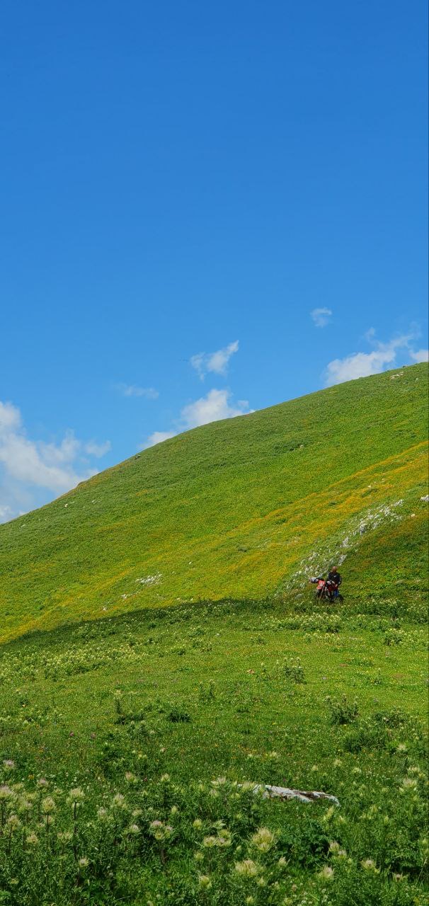 ЭКО-Глэмпинг БУНГАЛО, Гагра — фото 101