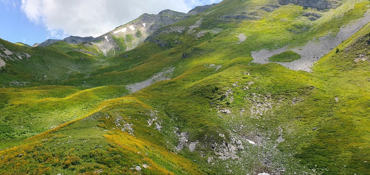 ЭКО-Глэмпинг БУНГАЛО, Гагра — фото 134