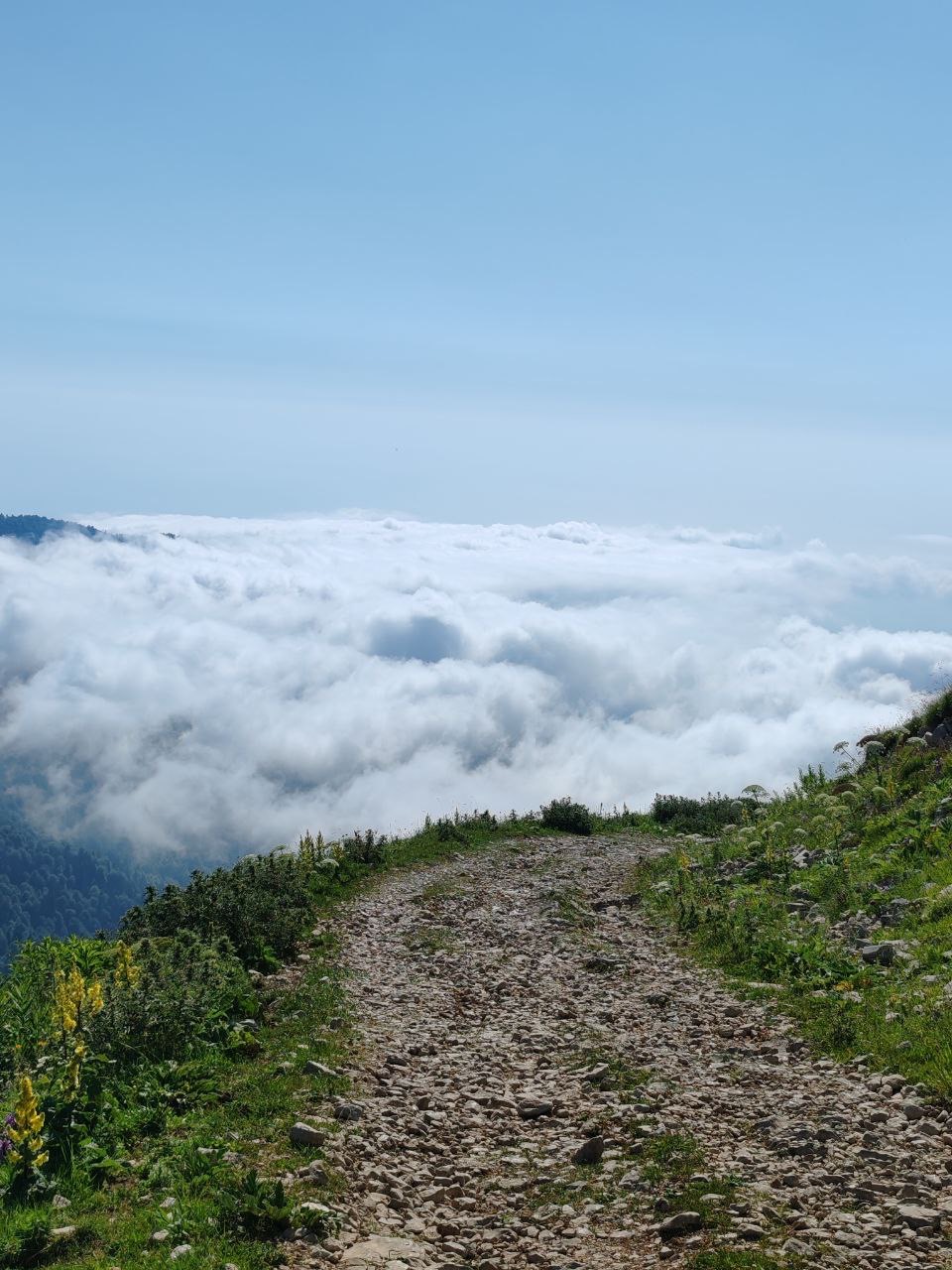 ЭКО-Глэмпинг БУНГАЛО, Гагра — фото 176