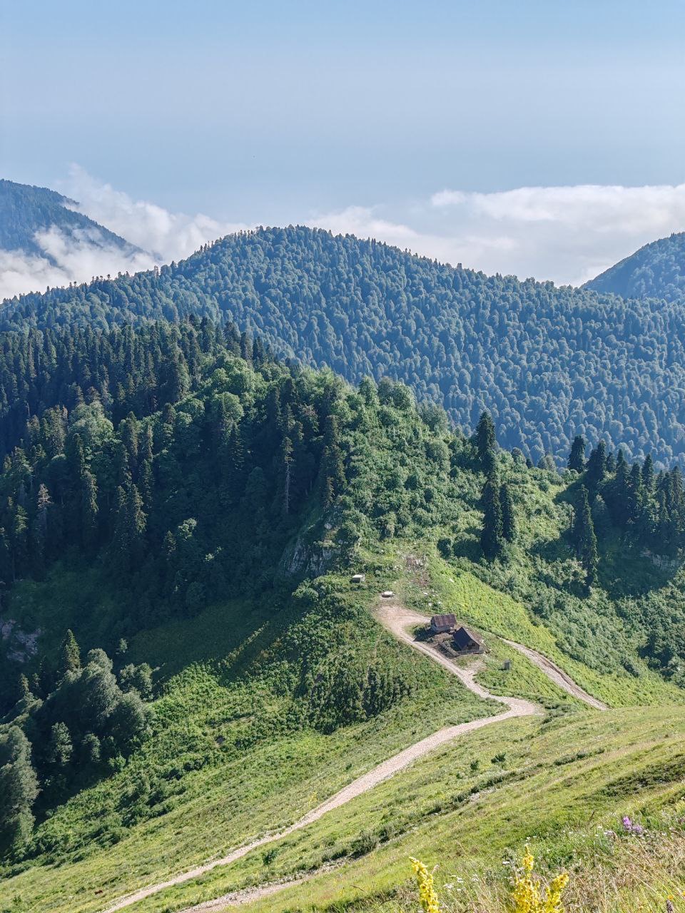 ЭКО-Глэмпинг БУНГАЛО, Гагра — фото 118