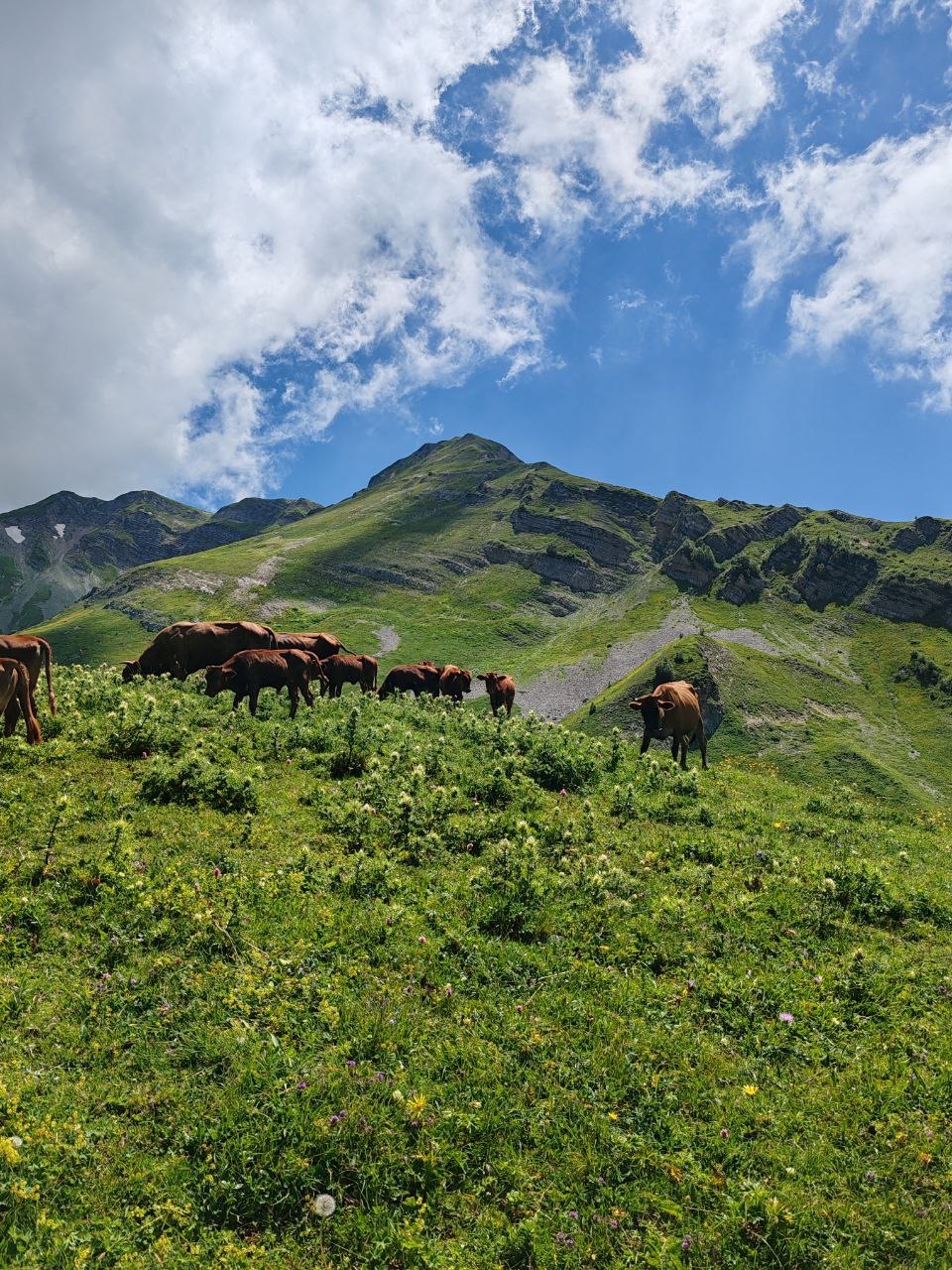 ЭКО-Глэмпинг БУНГАЛО, Гагра — фото 177