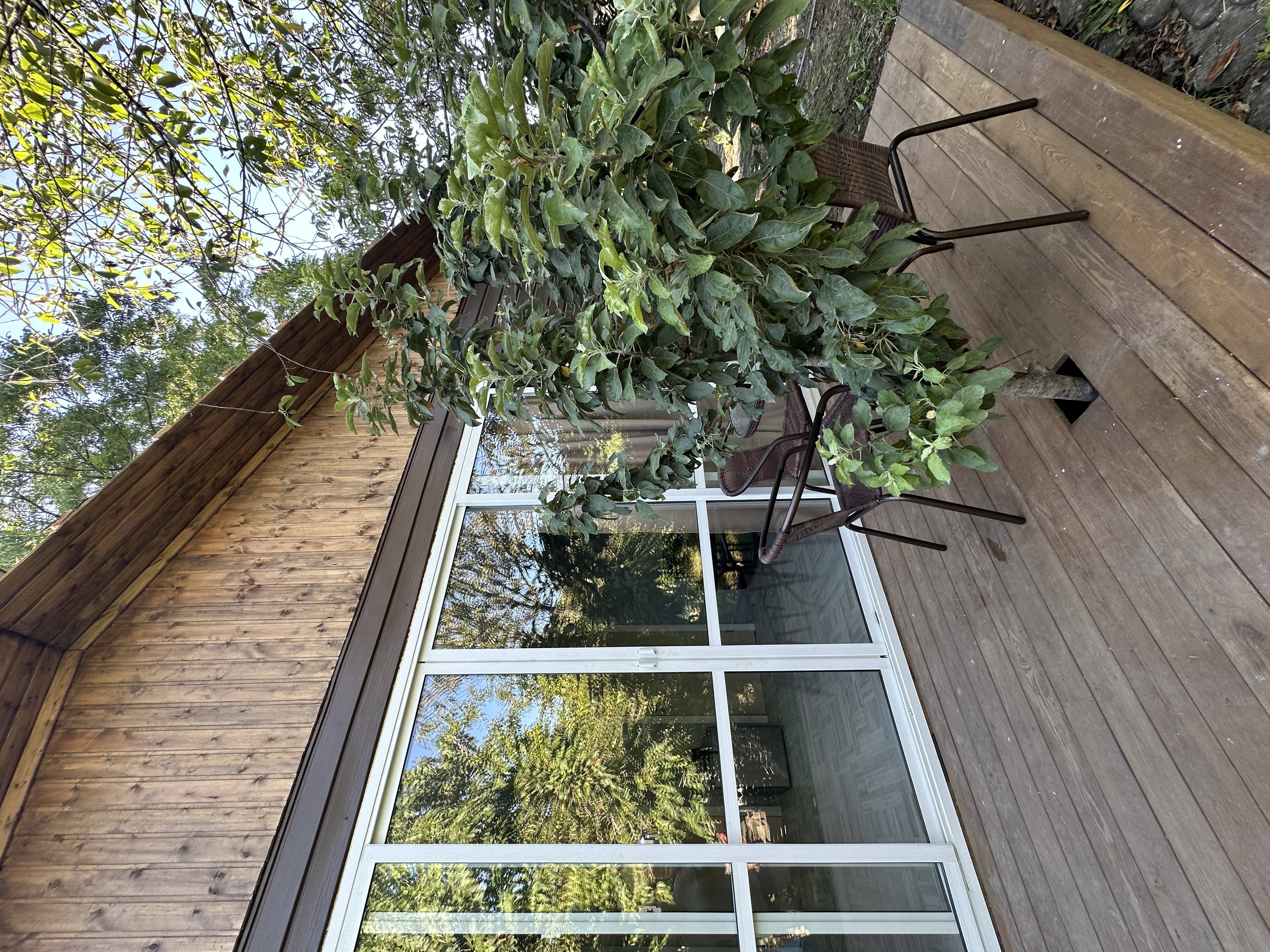 Гостевые домики АЛИША, Цандрипш — фото 11