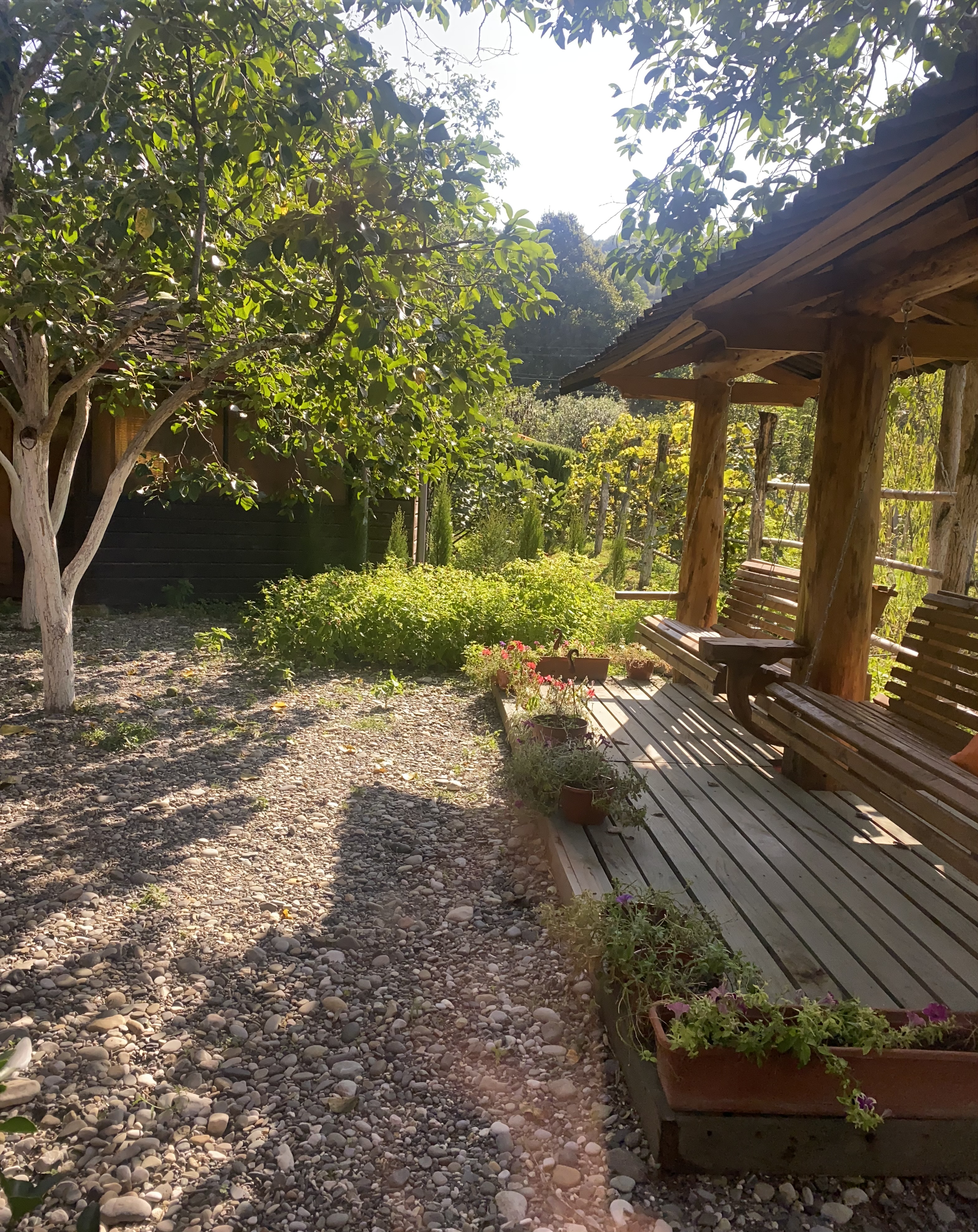 ЭКО-Глэмпинг БУНГАЛО, Гагра — фото 42