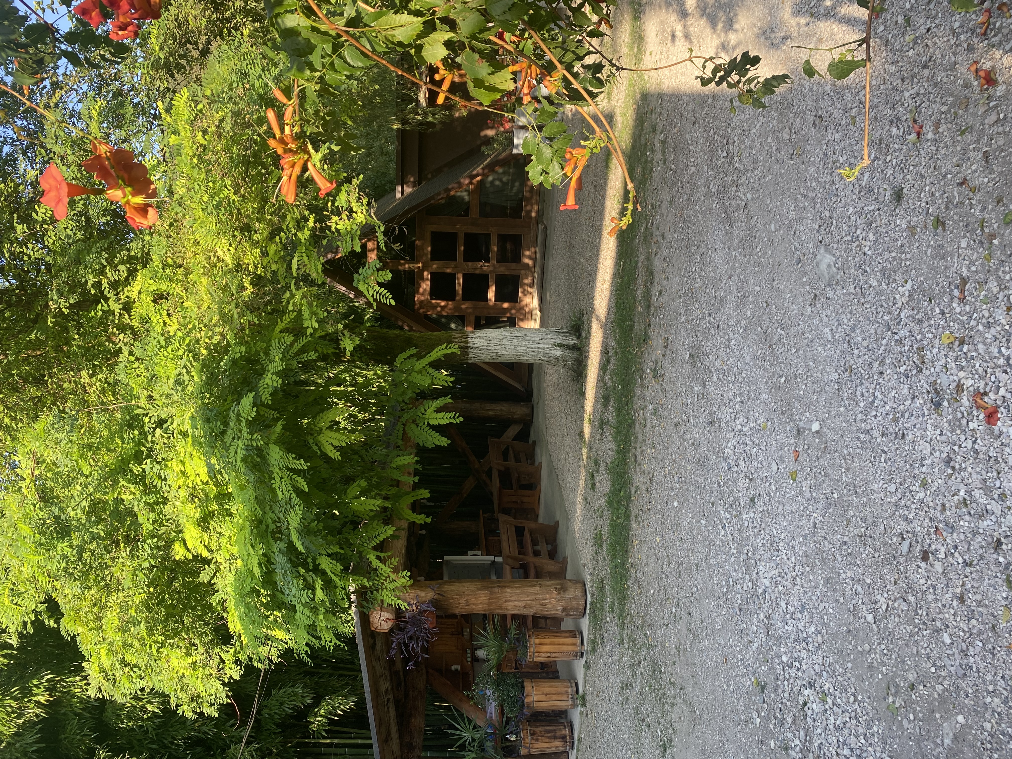 ЭКО-Глэмпинг БУНГАЛО, Гагра — фото 136