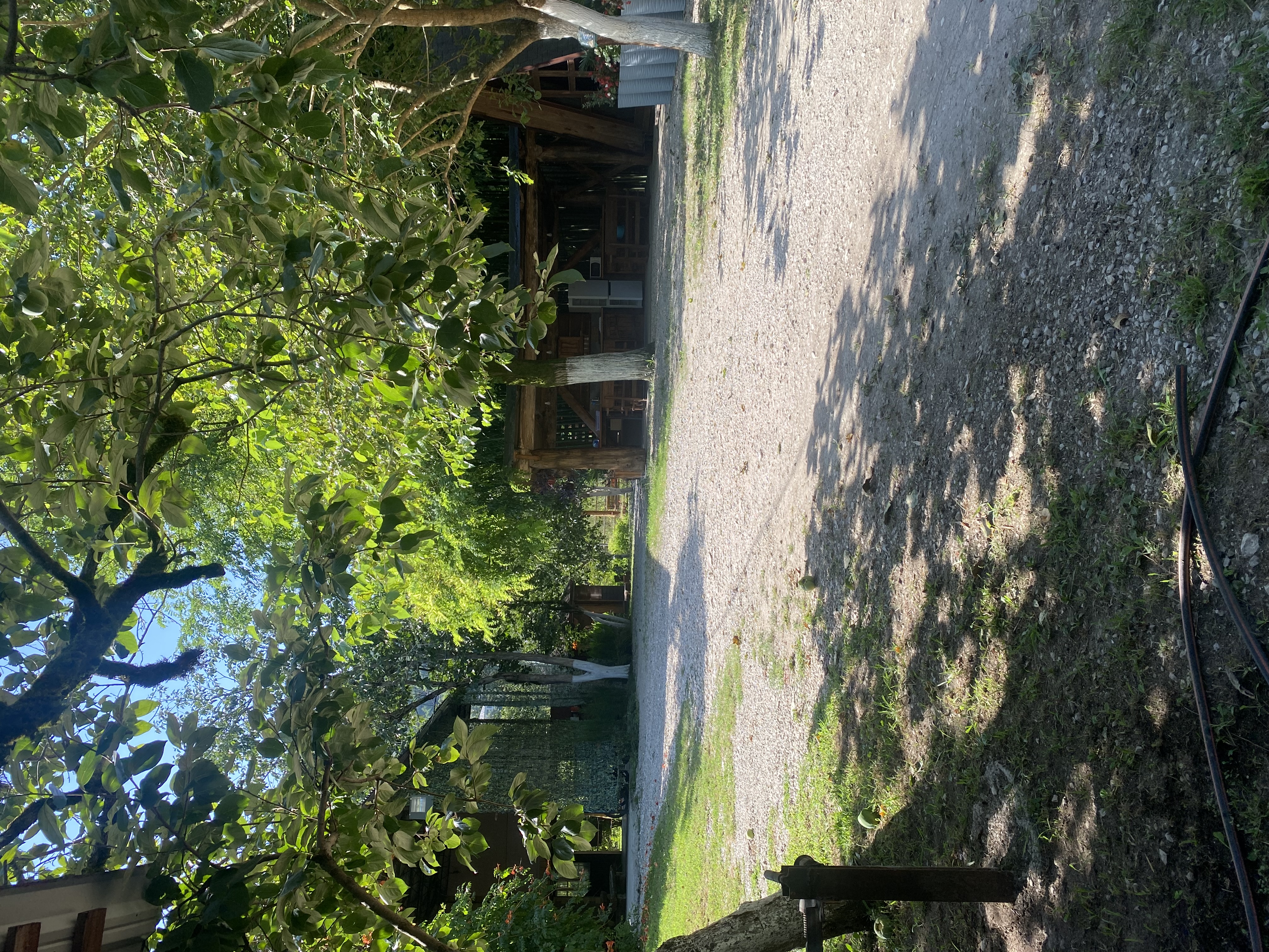 ЭКО-Глэмпинг БУНГАЛО, Гагра — фото 110