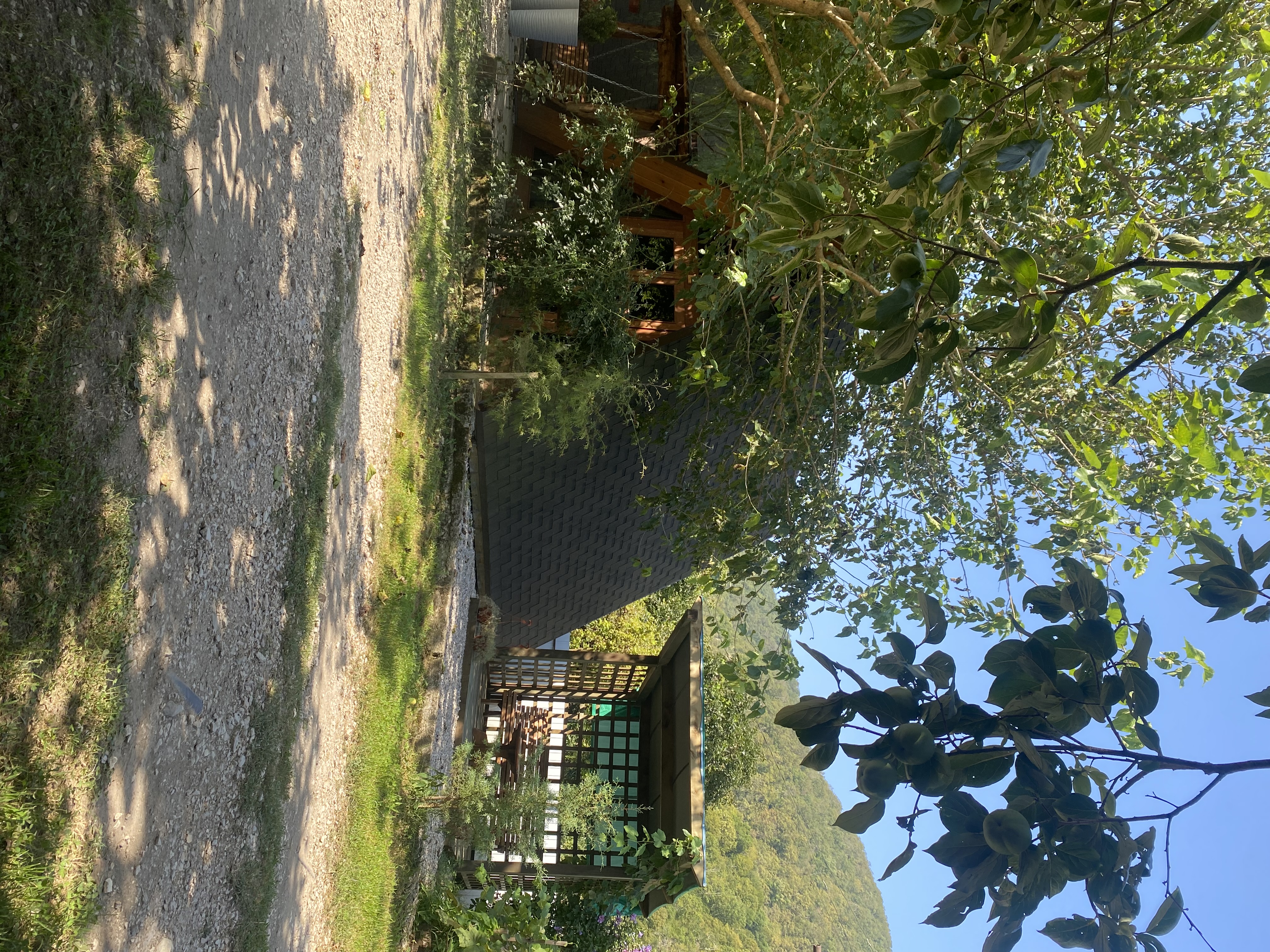 ЭКО-Глэмпинг БУНГАЛО, Гагра — фото 104