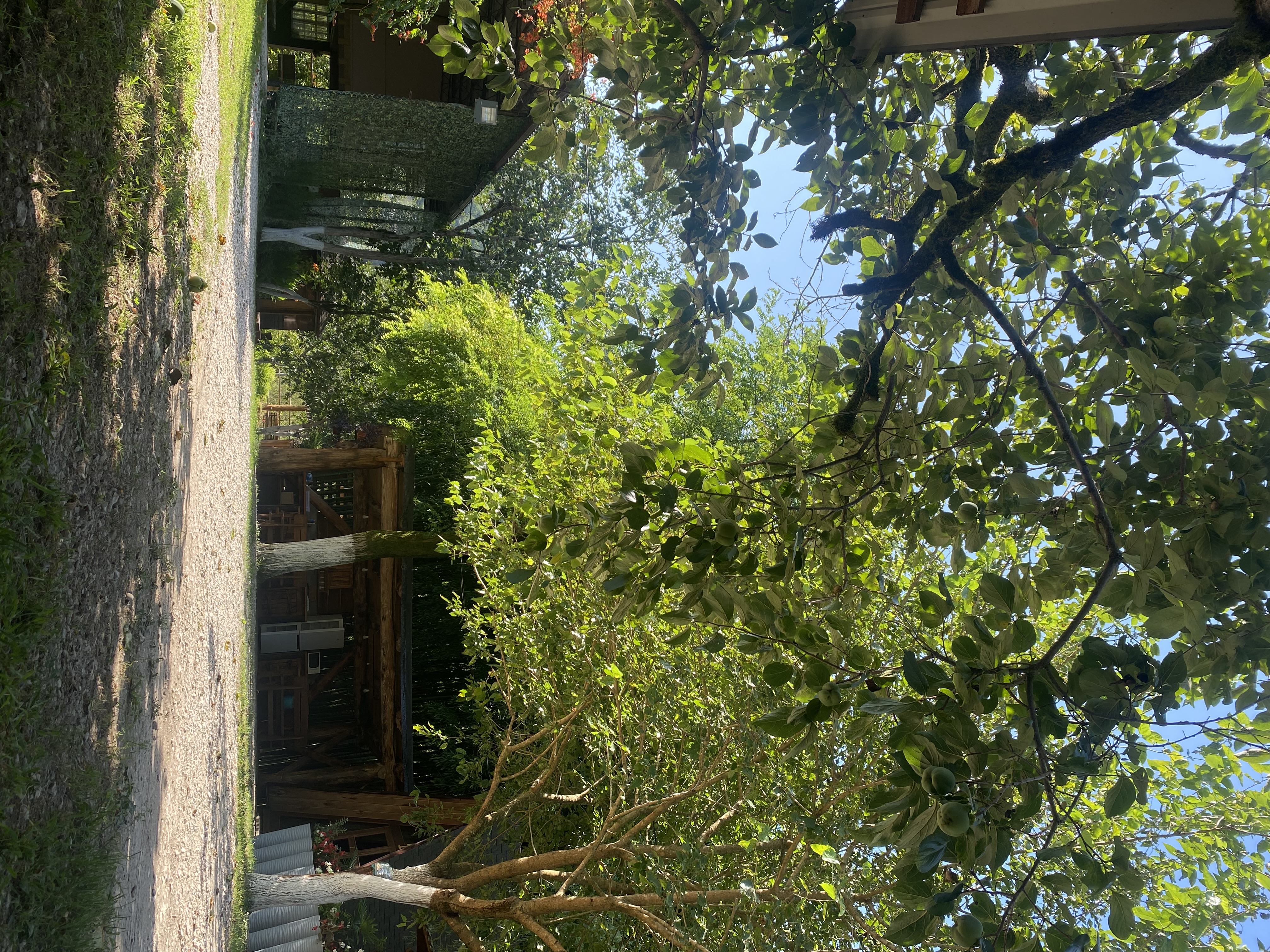 ЭКО-Глэмпинг БУНГАЛО, Гагра — фото 68