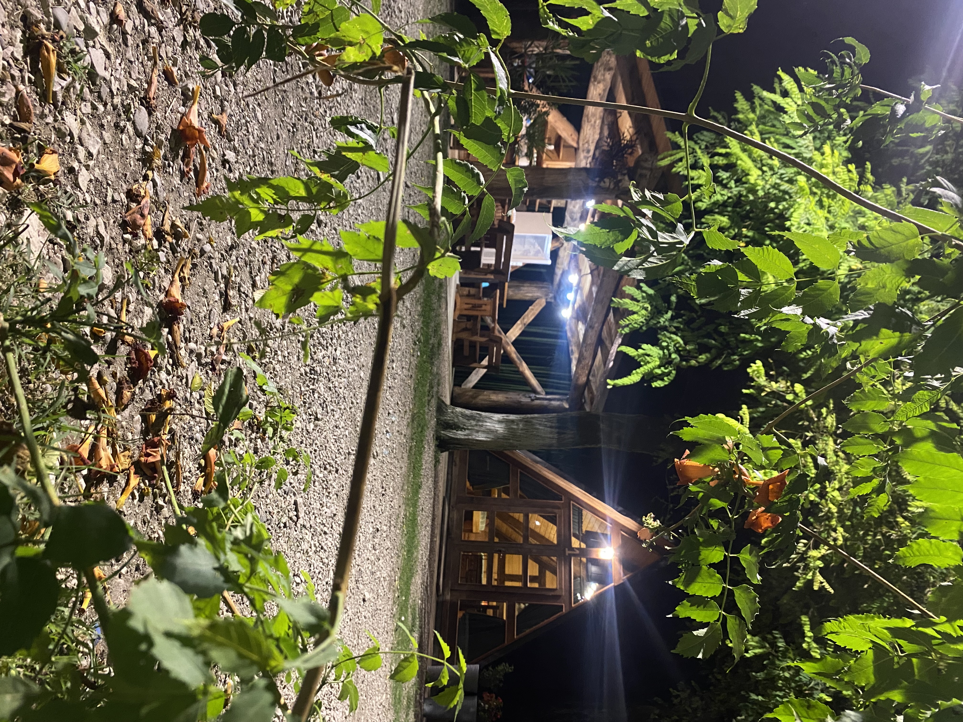 ЭКО-Глэмпинг БУНГАЛО, Гагра — фото 107