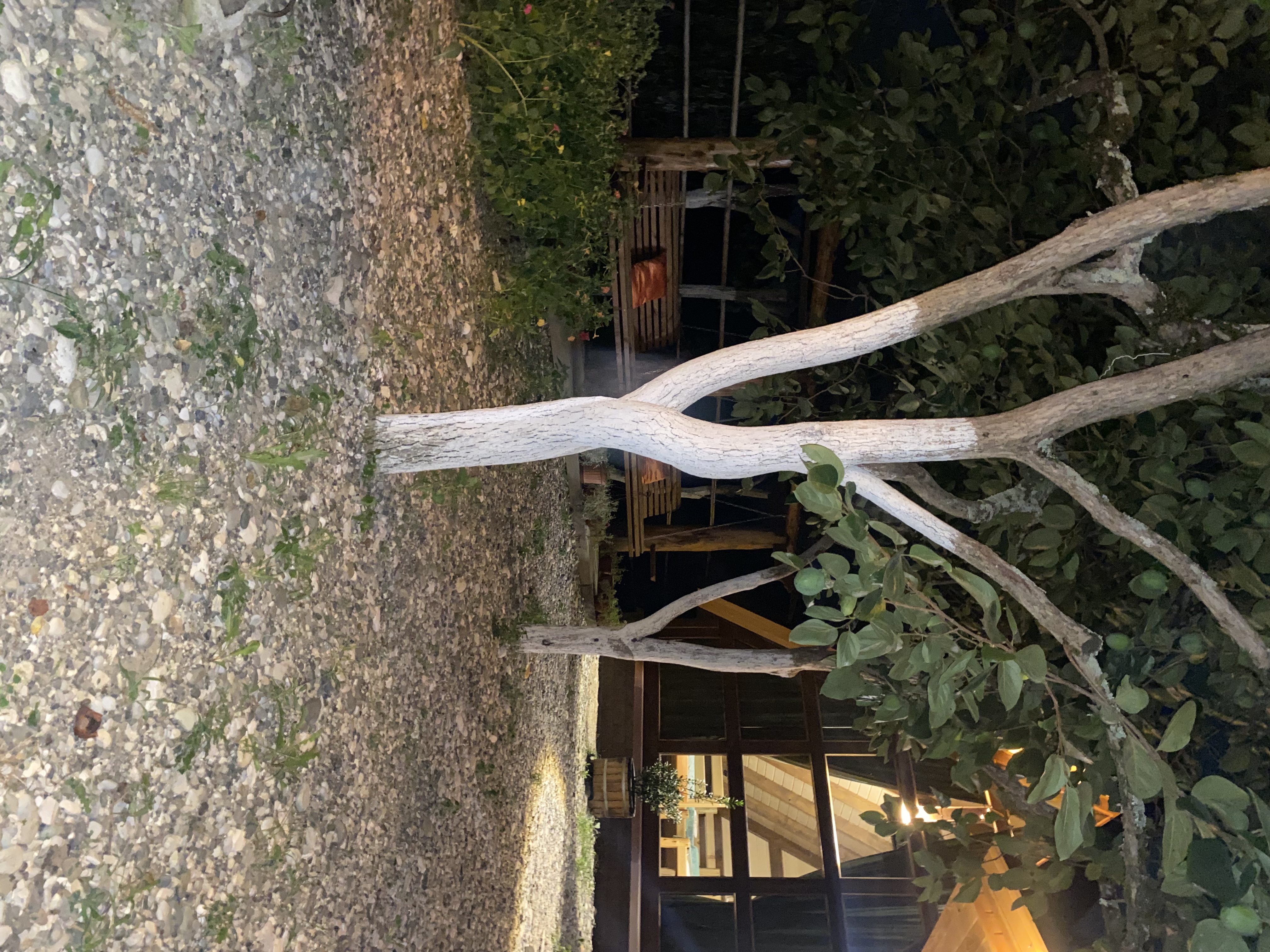 ЭКО-Глэмпинг БУНГАЛО, Гагра — фото 69