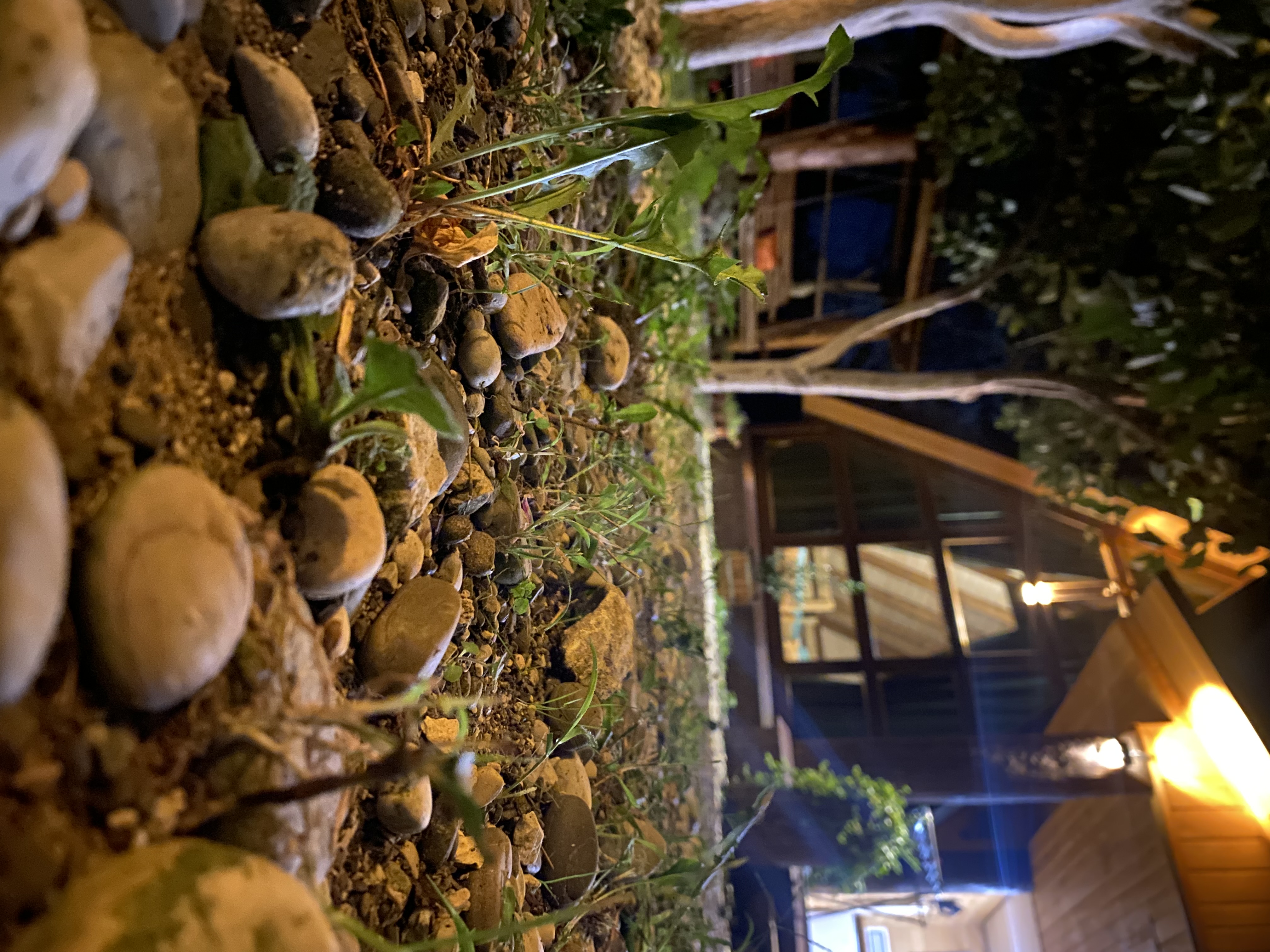 ЭКО-Глэмпинг БУНГАЛО, Гагра — фото 70