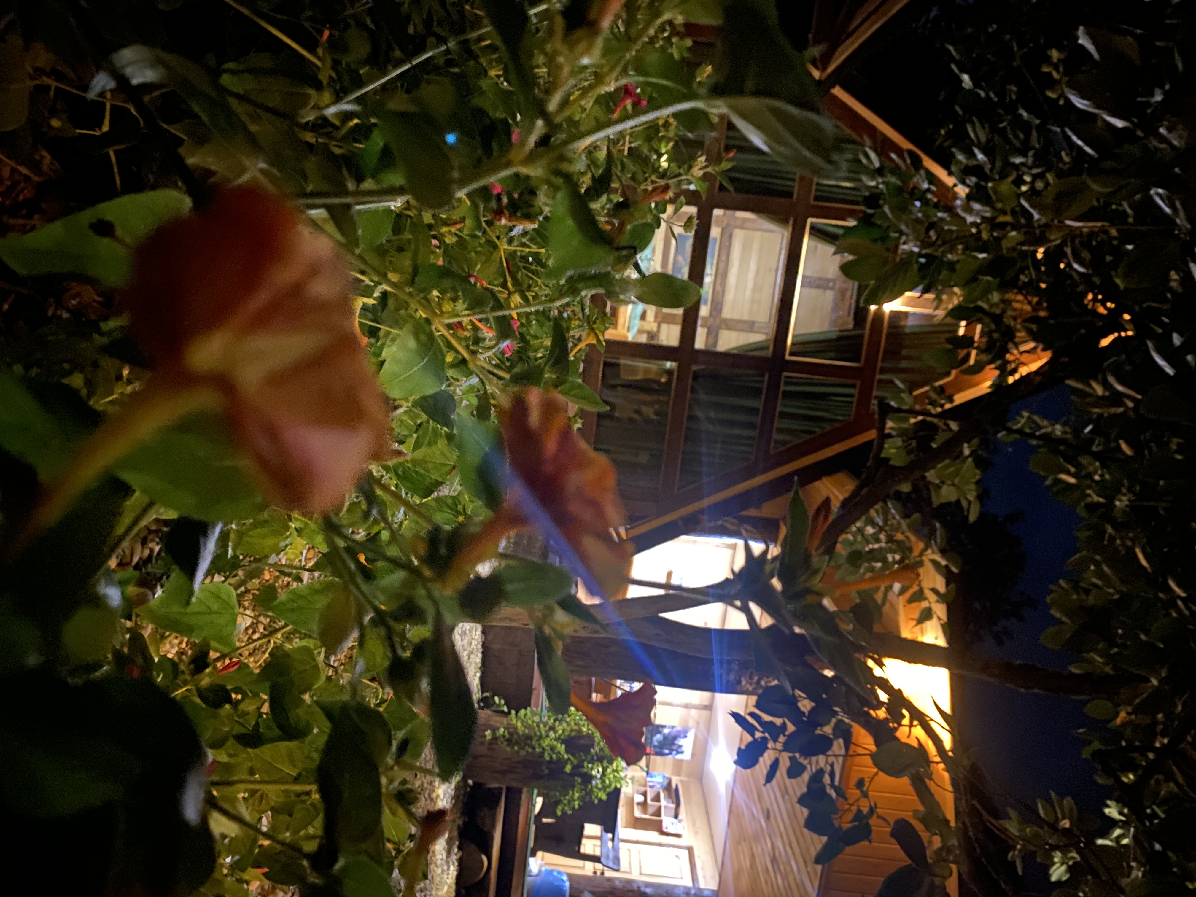 ЭКО-Глэмпинг БУНГАЛО, Гагра — фото 71