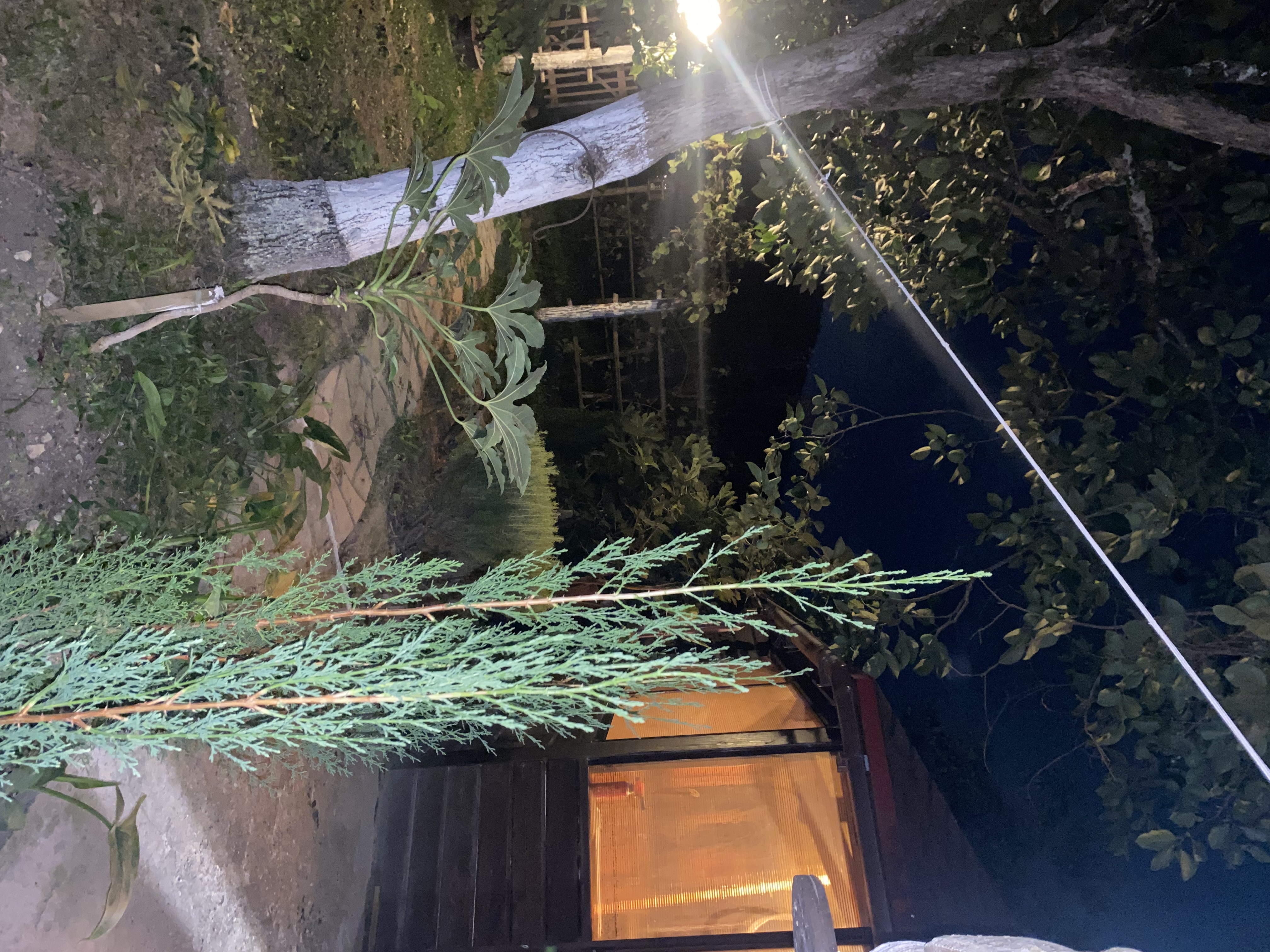 ЭКО-Глэмпинг БУНГАЛО, Гагра — фото 122