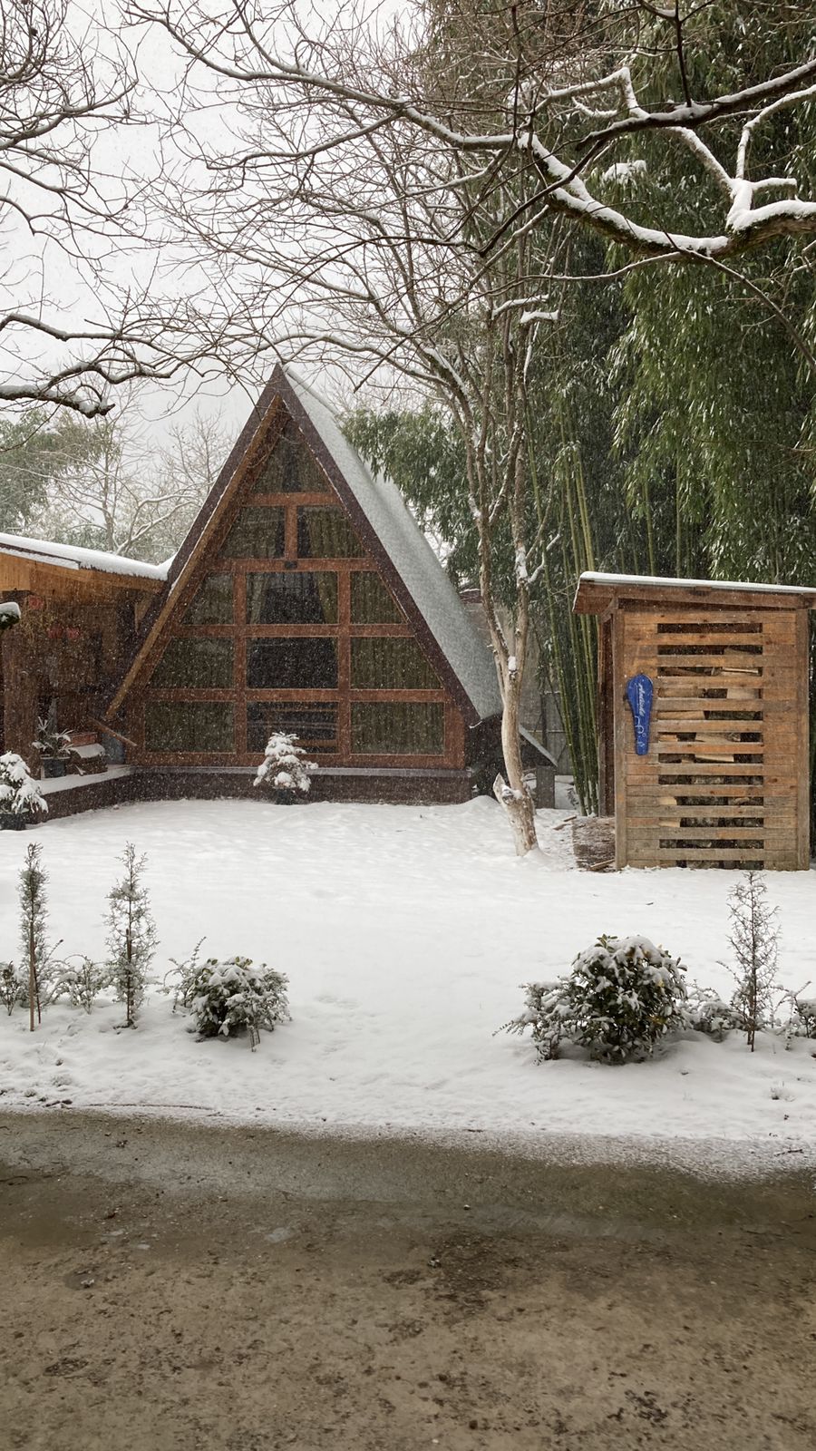 ЭКО-Глэмпинг БУНГАЛО, Гагра — фото 138