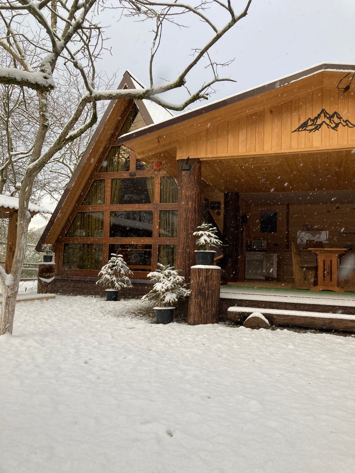 ЭКО-Глэмпинг БУНГАЛО, Гагра — фото 126