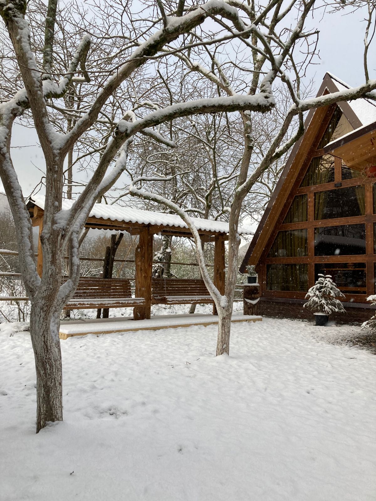 ЭКО-Глэмпинг БУНГАЛО, Гагра — фото 75