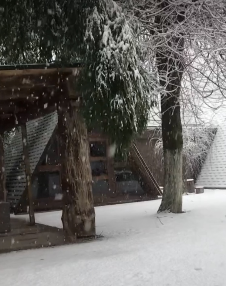 ЭКО-Глэмпинг БУНГАЛО, Гагра — фото 137