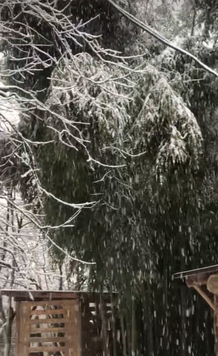 ЭКО-Глэмпинг БУНГАЛО, Гагра — фото 74