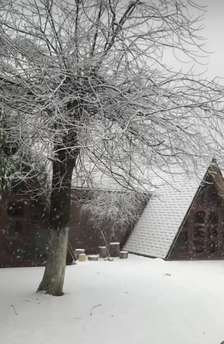 ЭКО-Глэмпинг БУНГАЛО, Гагра — фото 139