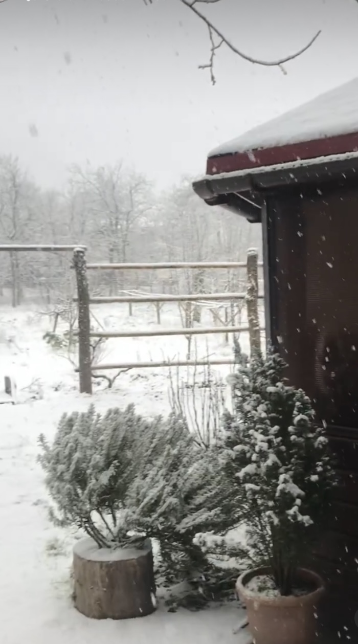 ЭКО-Глэмпинг БУНГАЛО, Гагра — фото 76