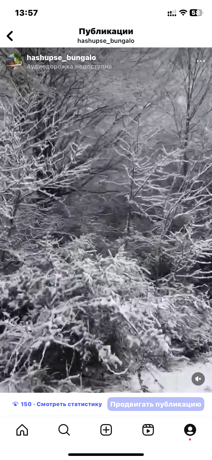 ЭКО-Глэмпинг БУНГАЛО, Гагра — фото 140