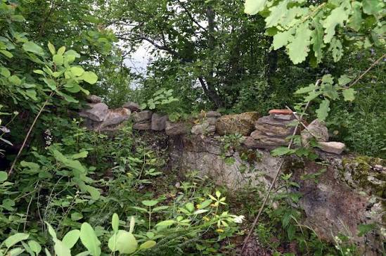 ЭКО-Глэмпинг БУНГАЛО, Гагра — фото 142