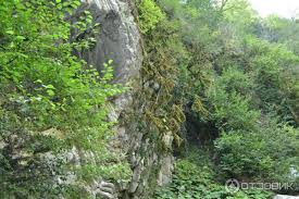 ЭКО-Глэмпинг БУНГАЛО, Гагра — фото 130