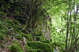 ЭКО-Глэмпинг БУНГАЛО, Гагра — фото 129