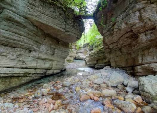 ЭКО-Глэмпинг БУНГАЛО, Гагра — фото 108