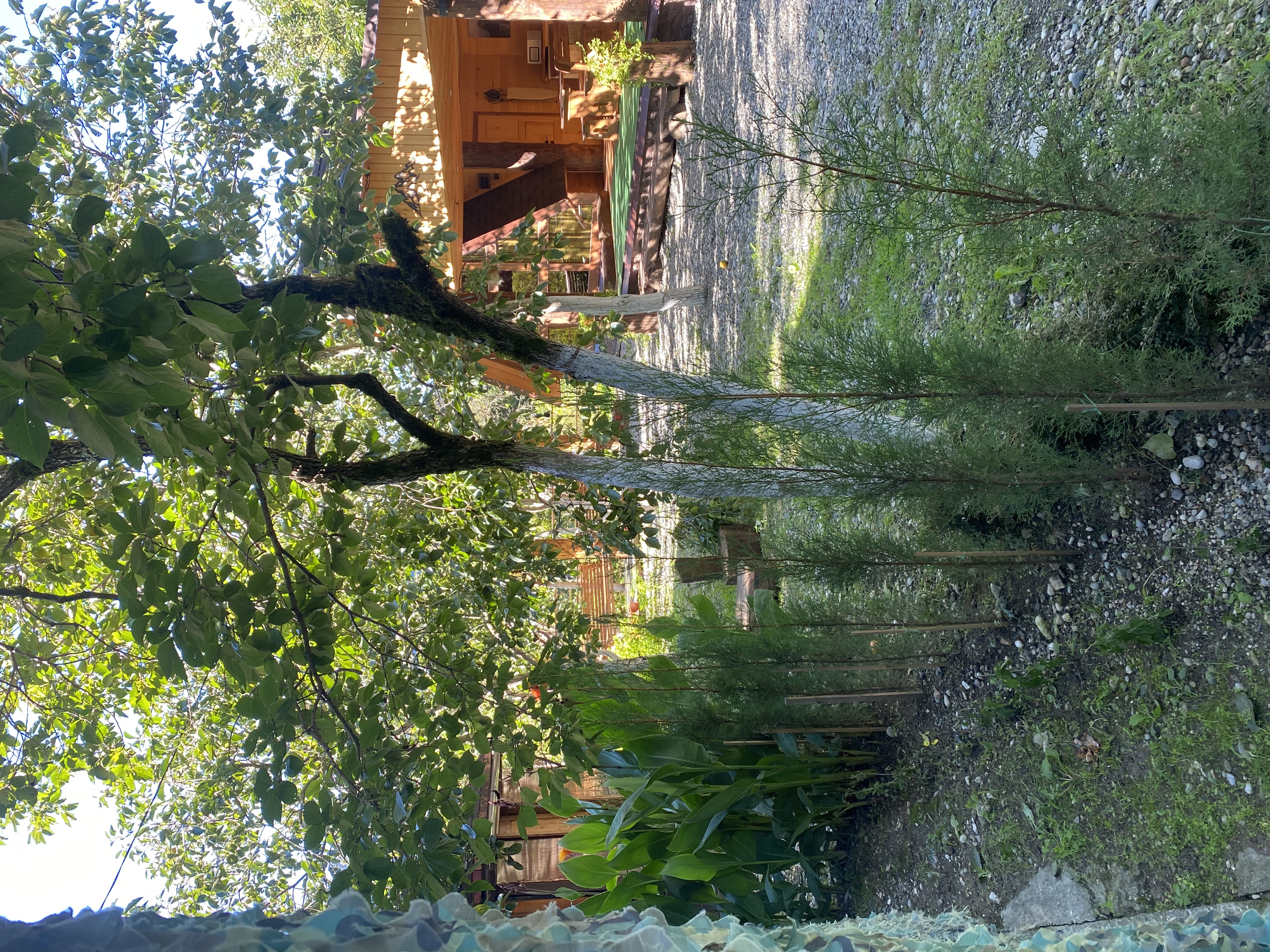 ЭКО-Глэмпинг БУНГАЛО, Гагра — фото 146