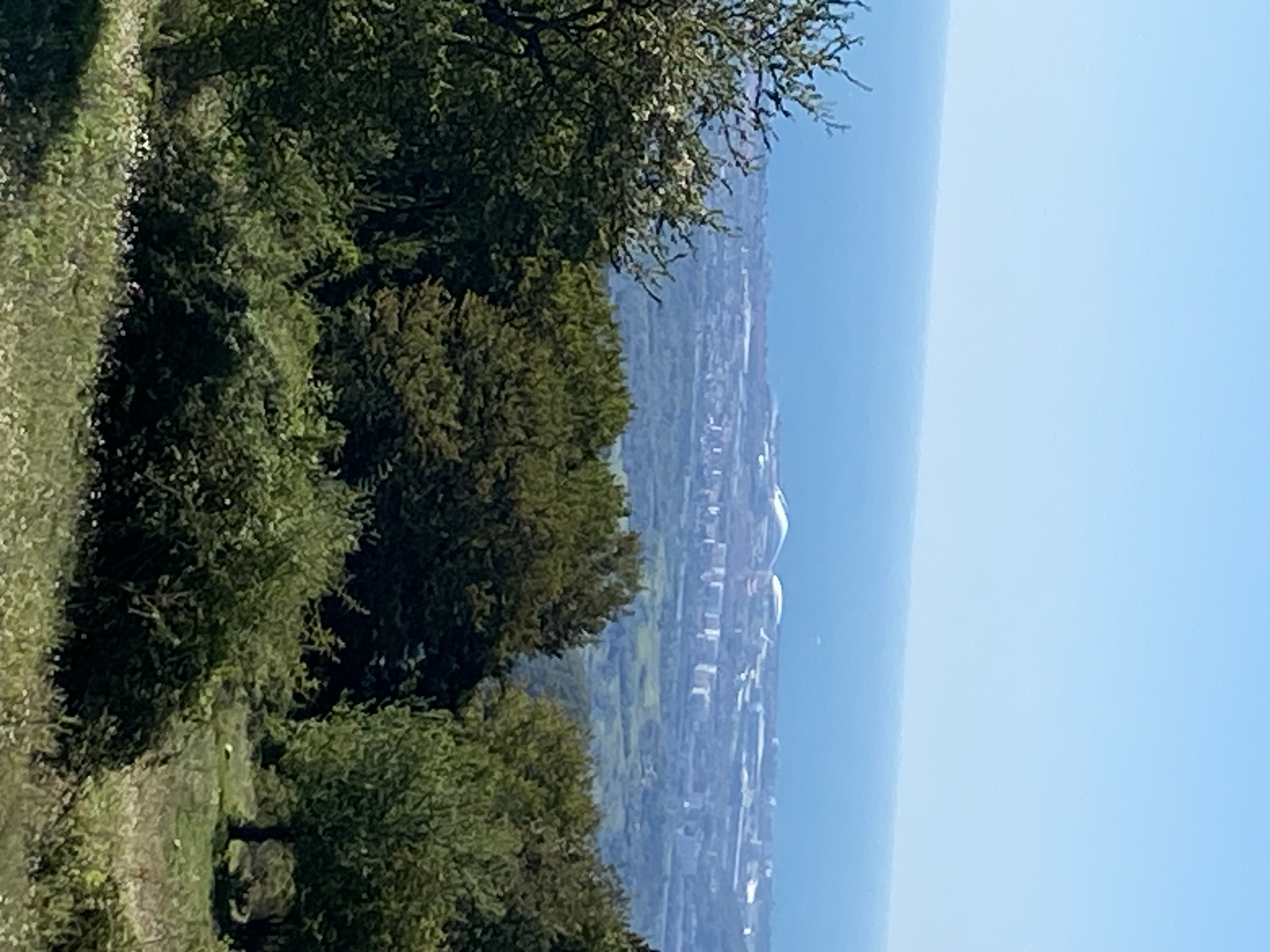 ЭКО-Глэмпинг БУНГАЛО, Гагра — фото 115