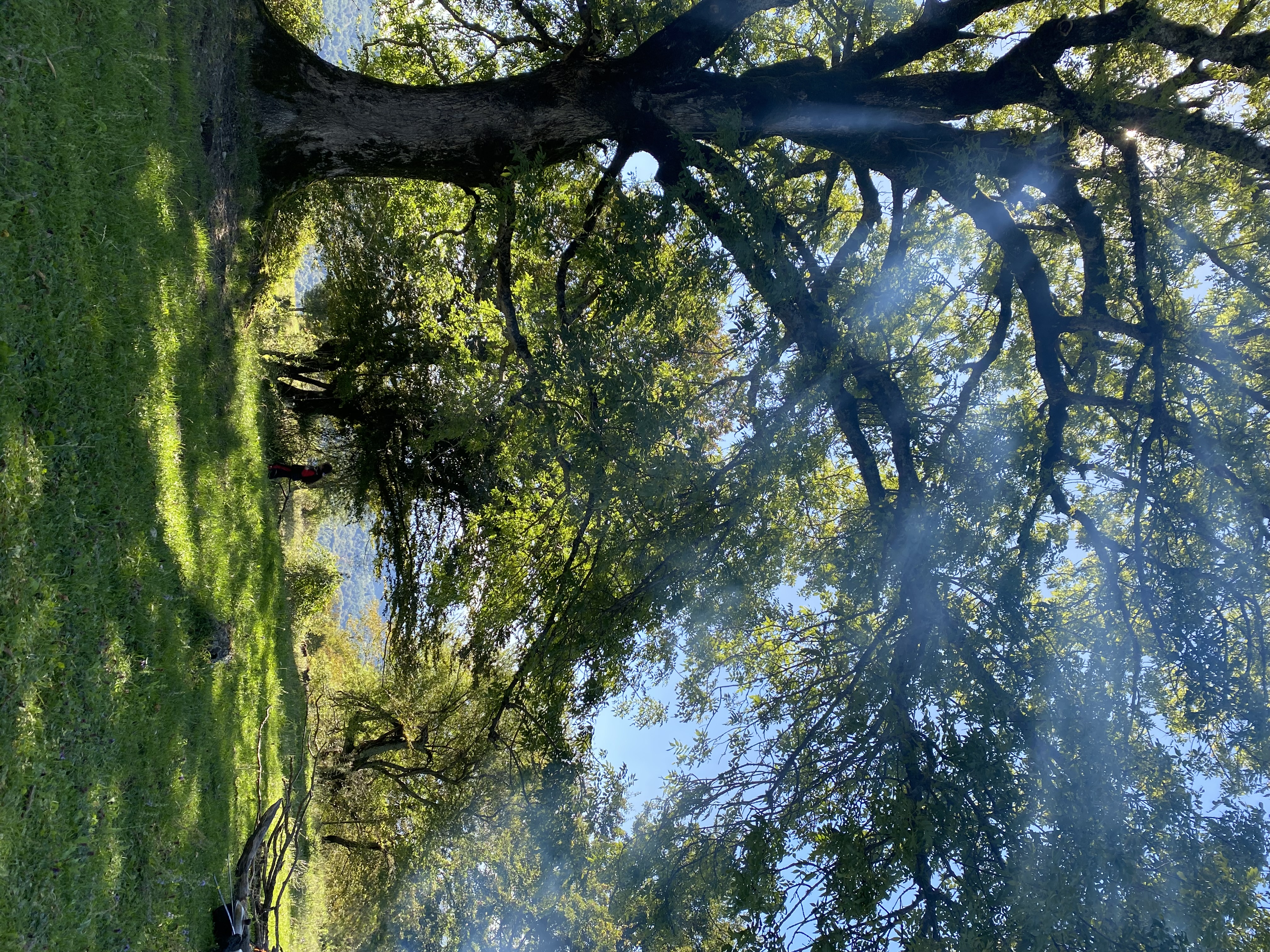 ЭКО-Глэмпинг БУНГАЛО, Гагра — фото 116