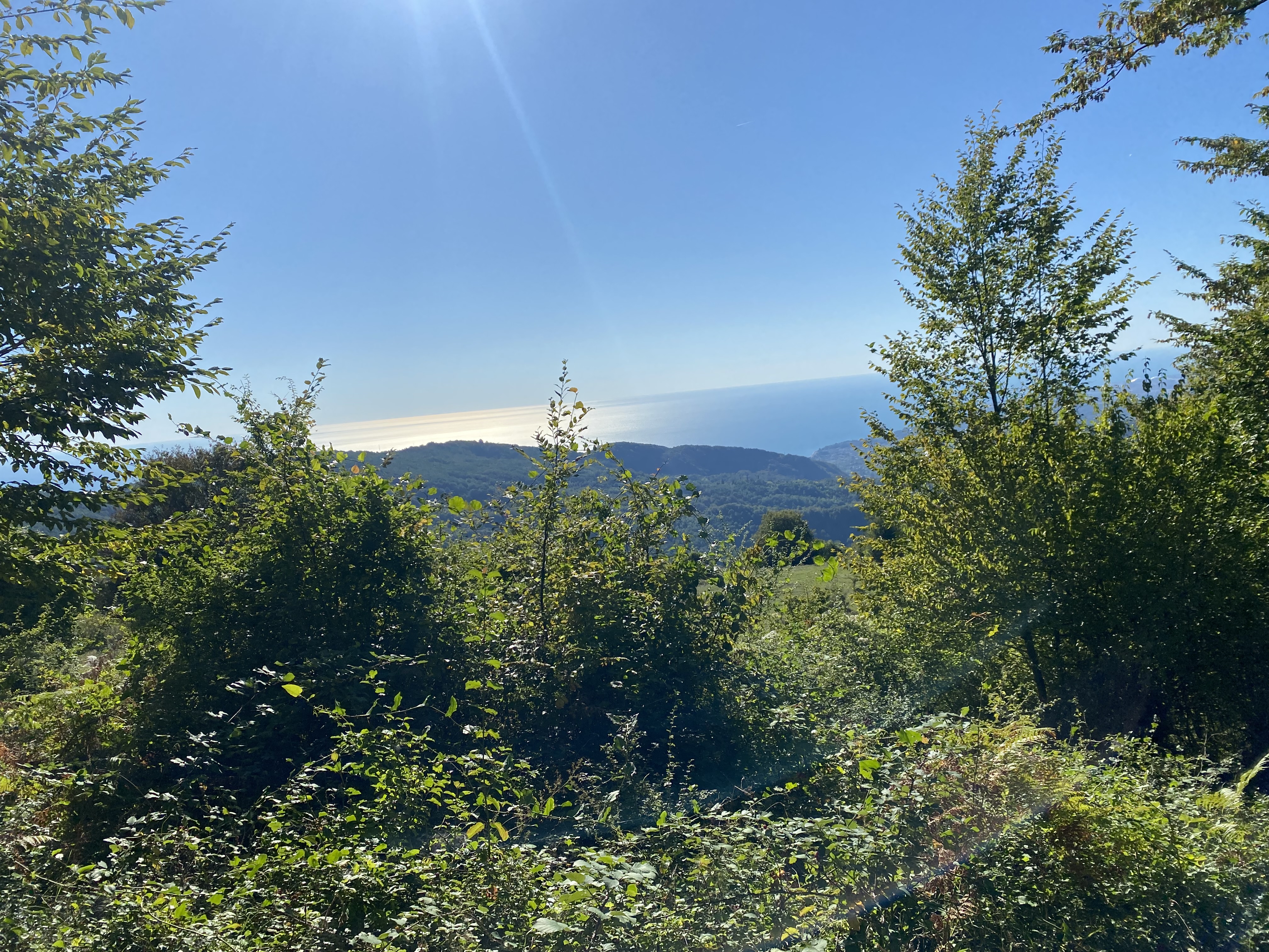 ЭКО-Глэмпинг БУНГАЛО, Гагра — фото 87