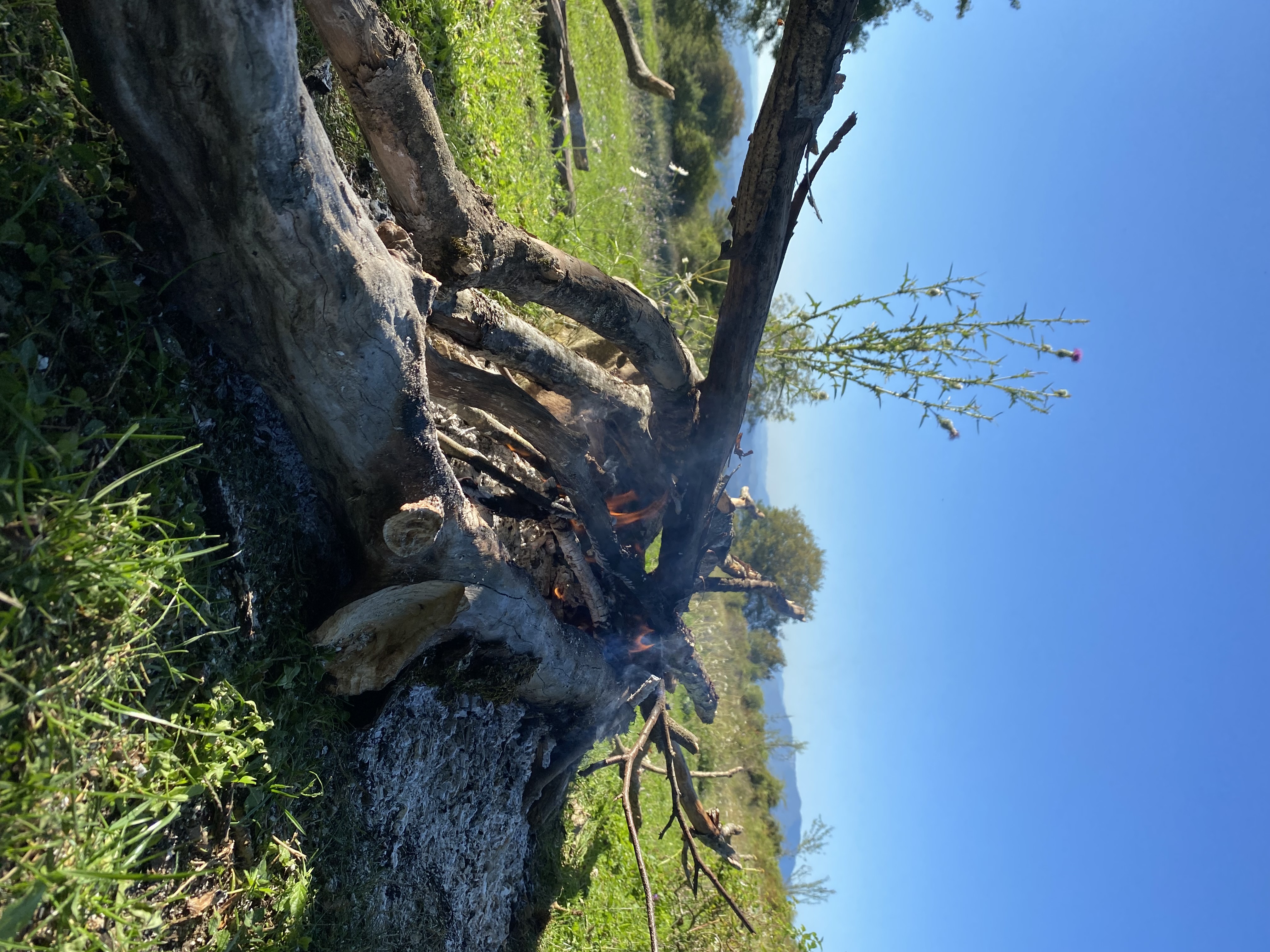 ЭКО-Глэмпинг БУНГАЛО, Гагра — фото 78