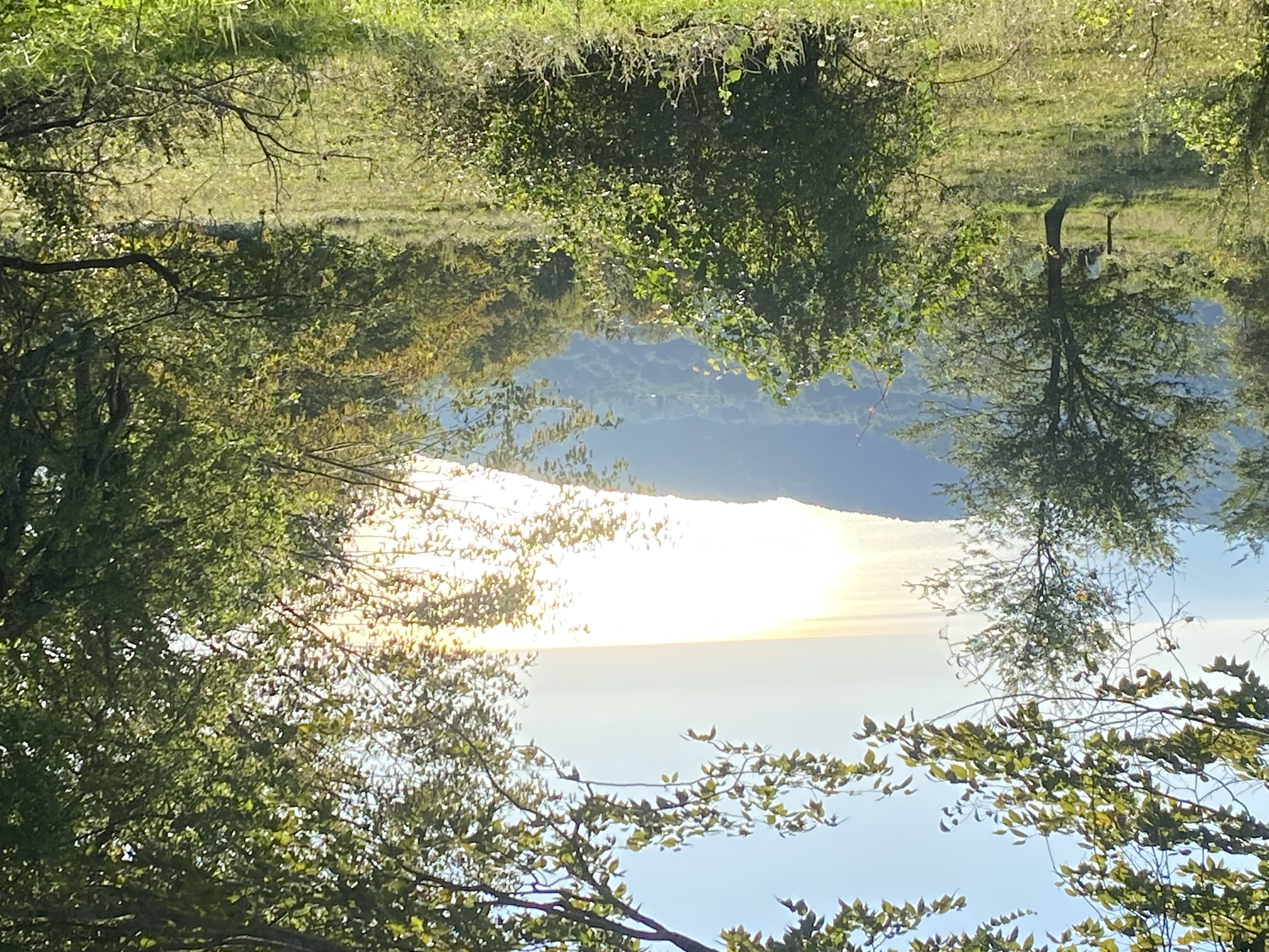 ЭКО-Глэмпинг БУНГАЛО, Гагра — фото 89