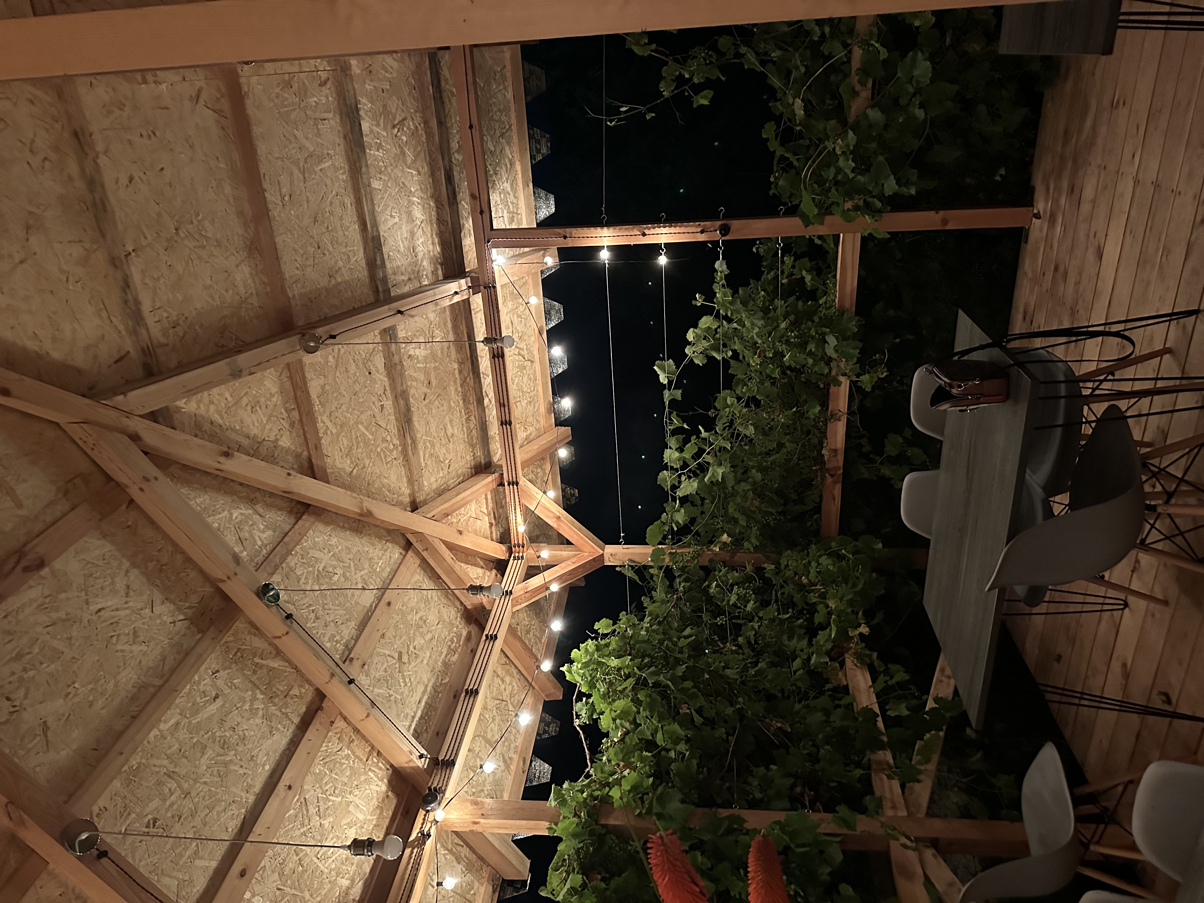 Гостевые домики АЛИША, Цандрипш — фото 18