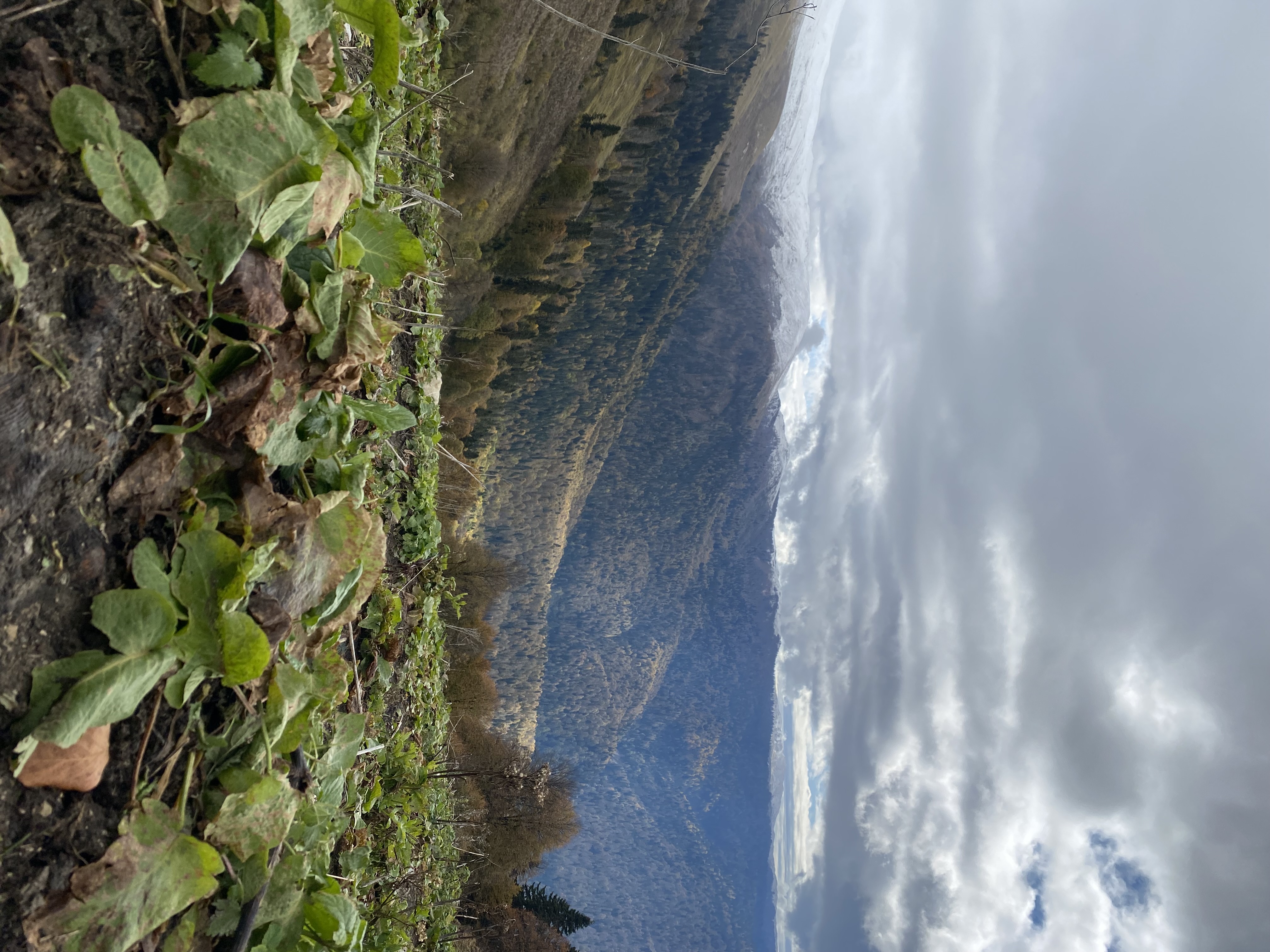 ЭКО-Глэмпинг БУНГАЛО, Гагра — фото 93