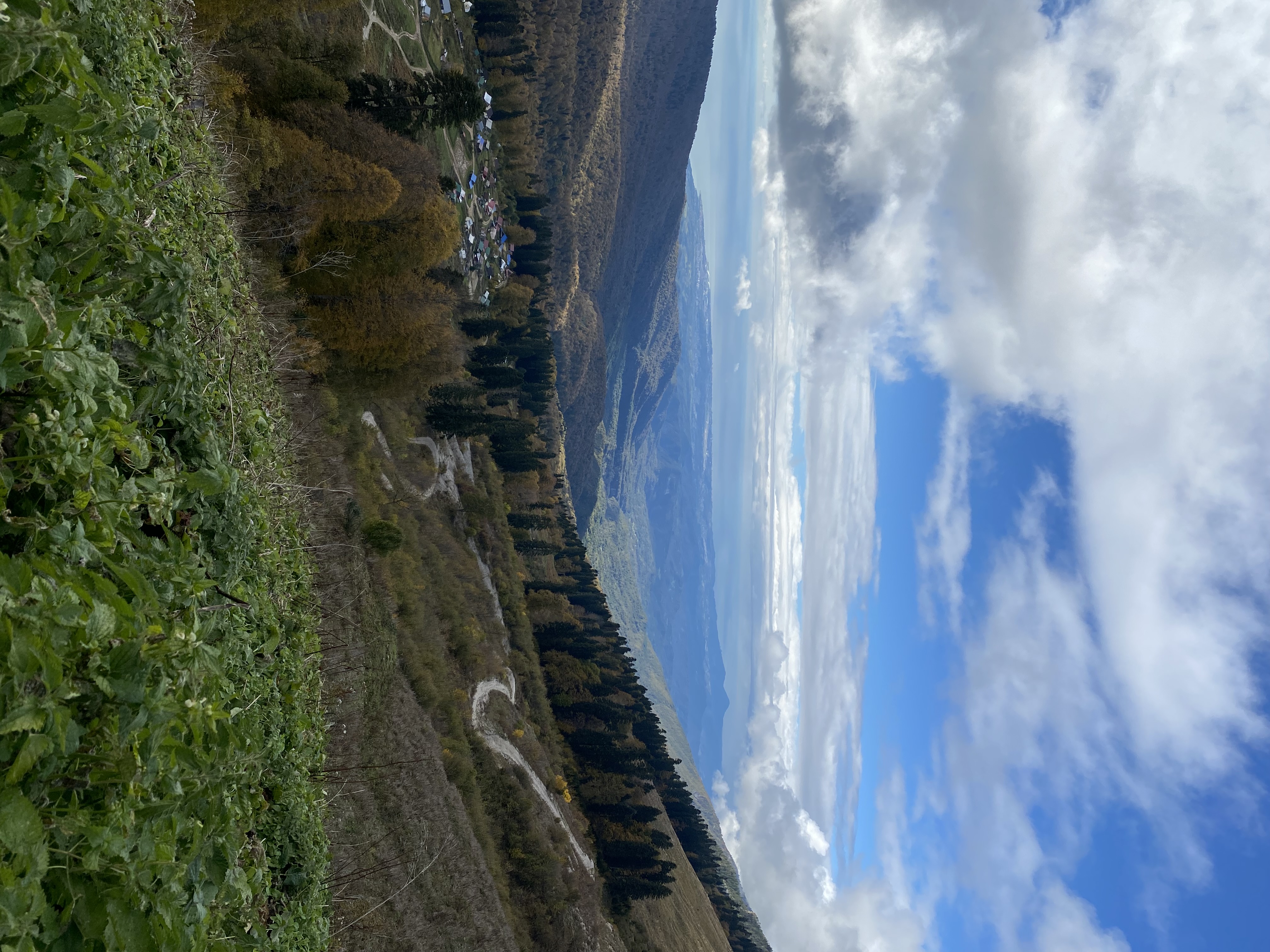 ЭКО-Глэмпинг БУНГАЛО, Гагра — фото 94