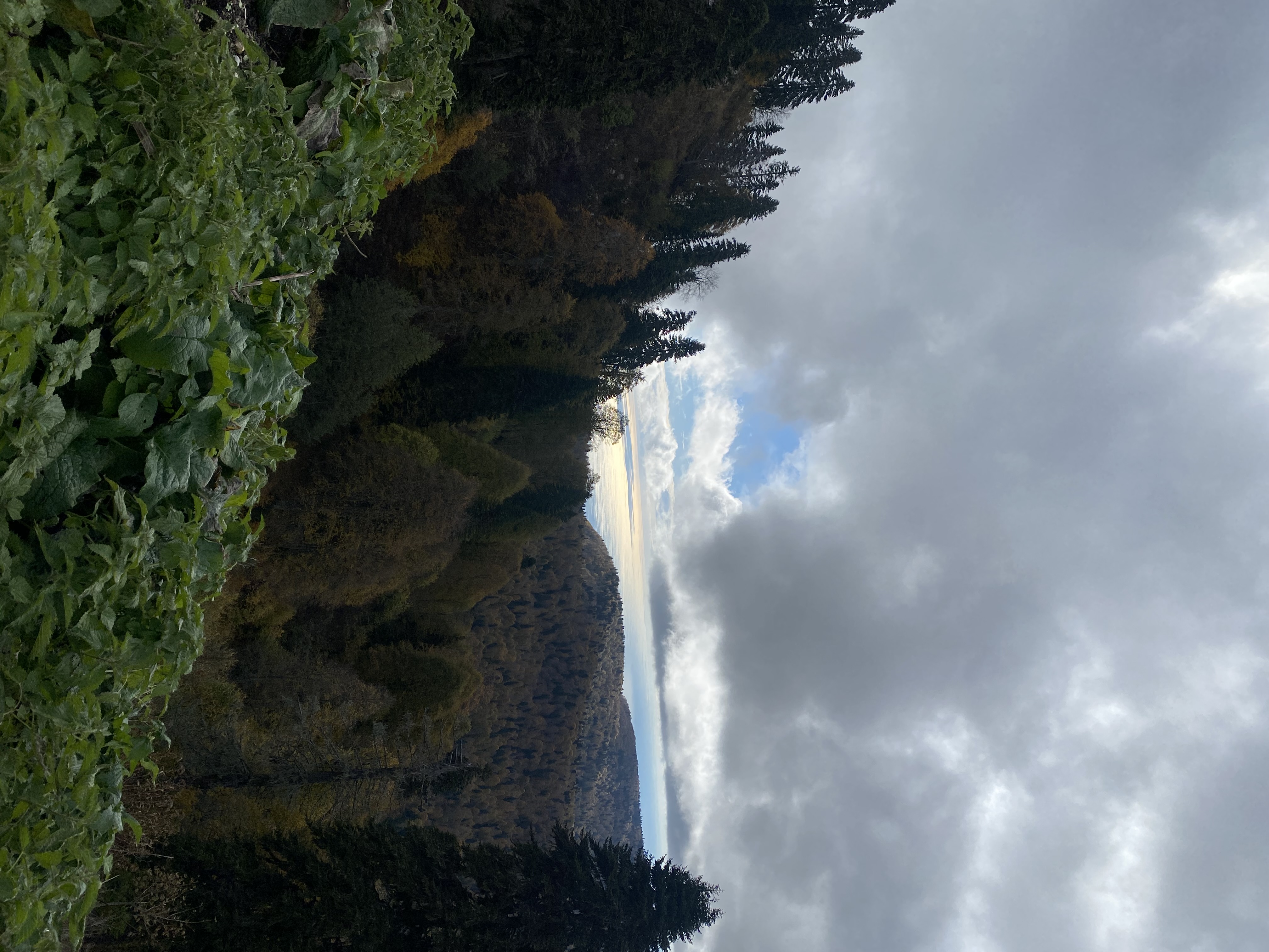 ЭКО-Глэмпинг БУНГАЛО, Гагра — фото 79