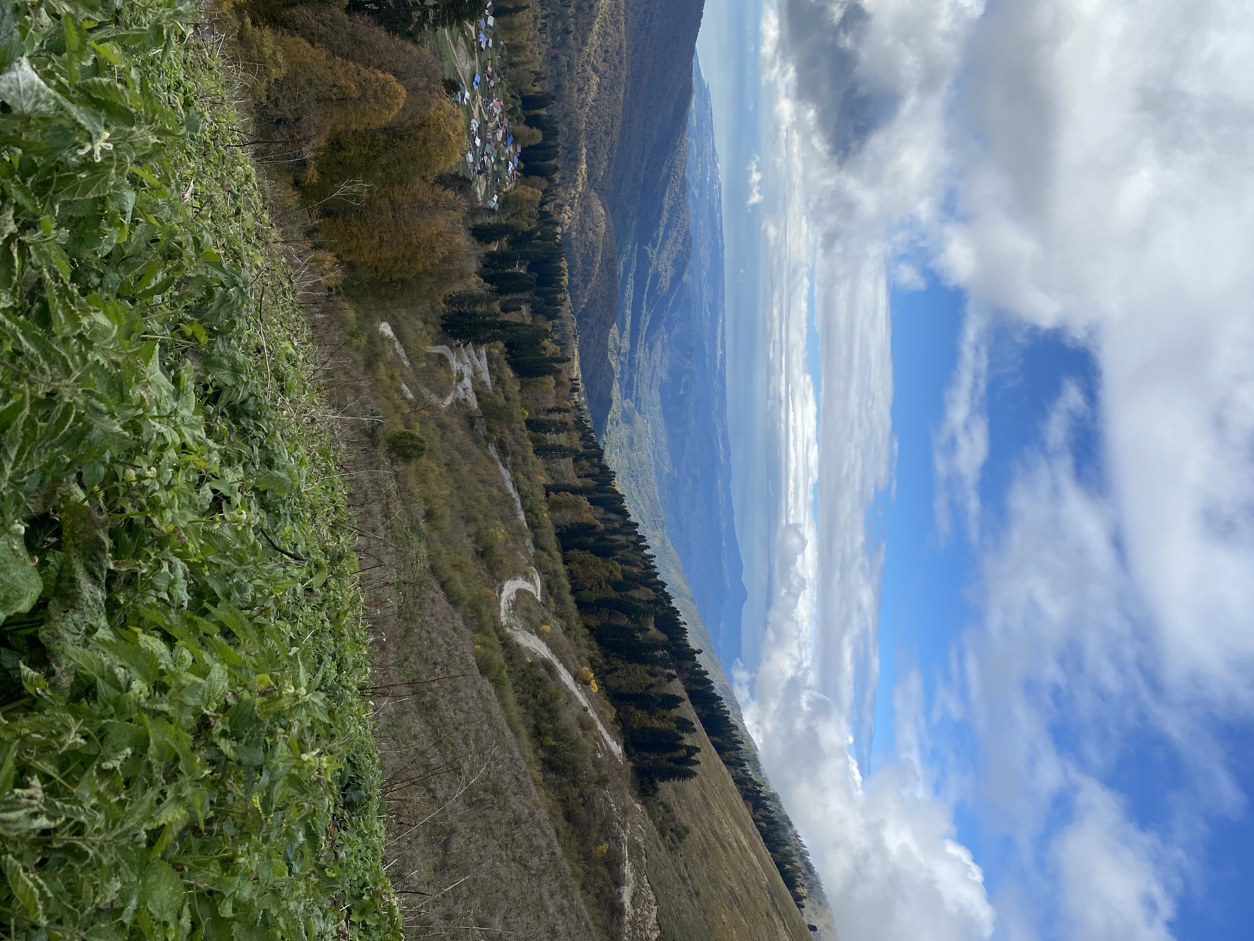 ЭКО-Глэмпинг БУНГАЛО, Гагра — фото 80