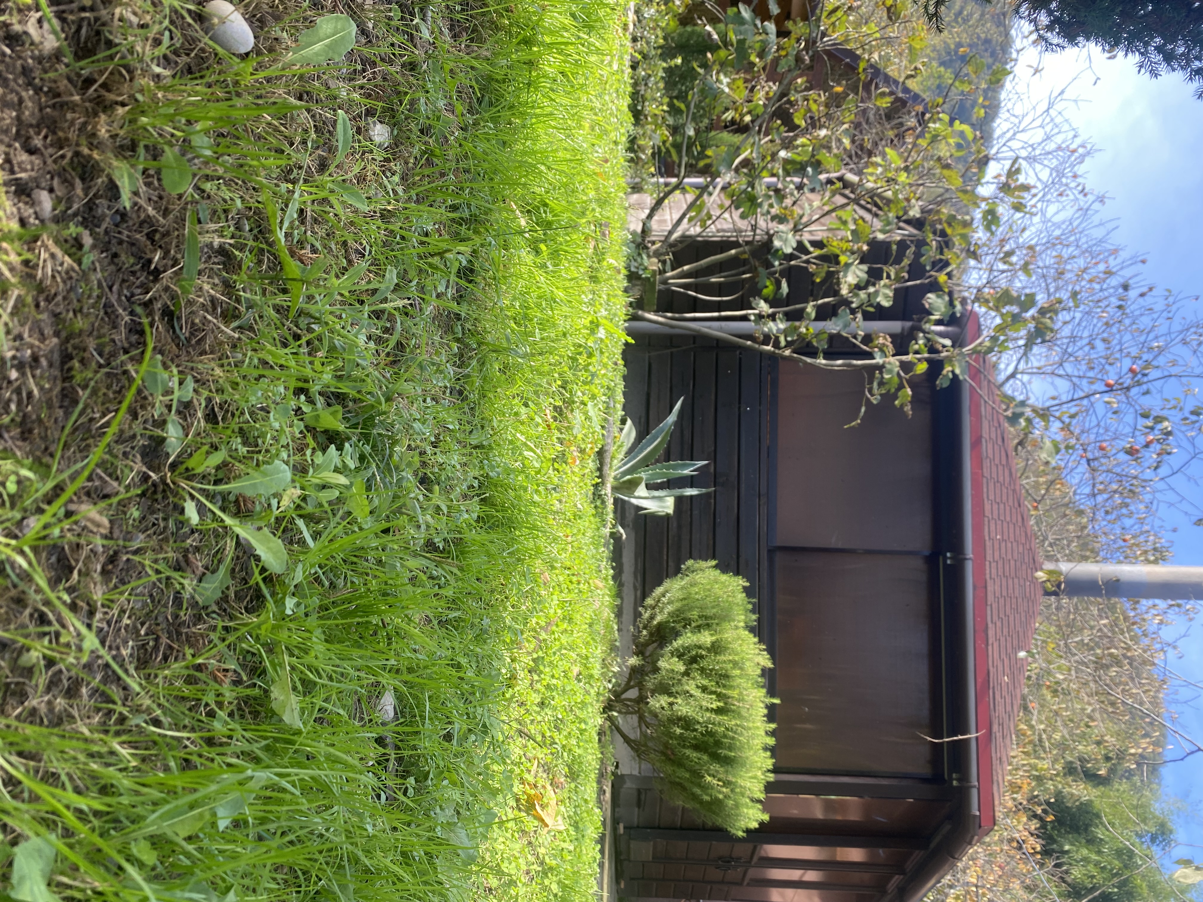 ЭКО-Глэмпинг БУНГАЛО, Гагра — фото 15