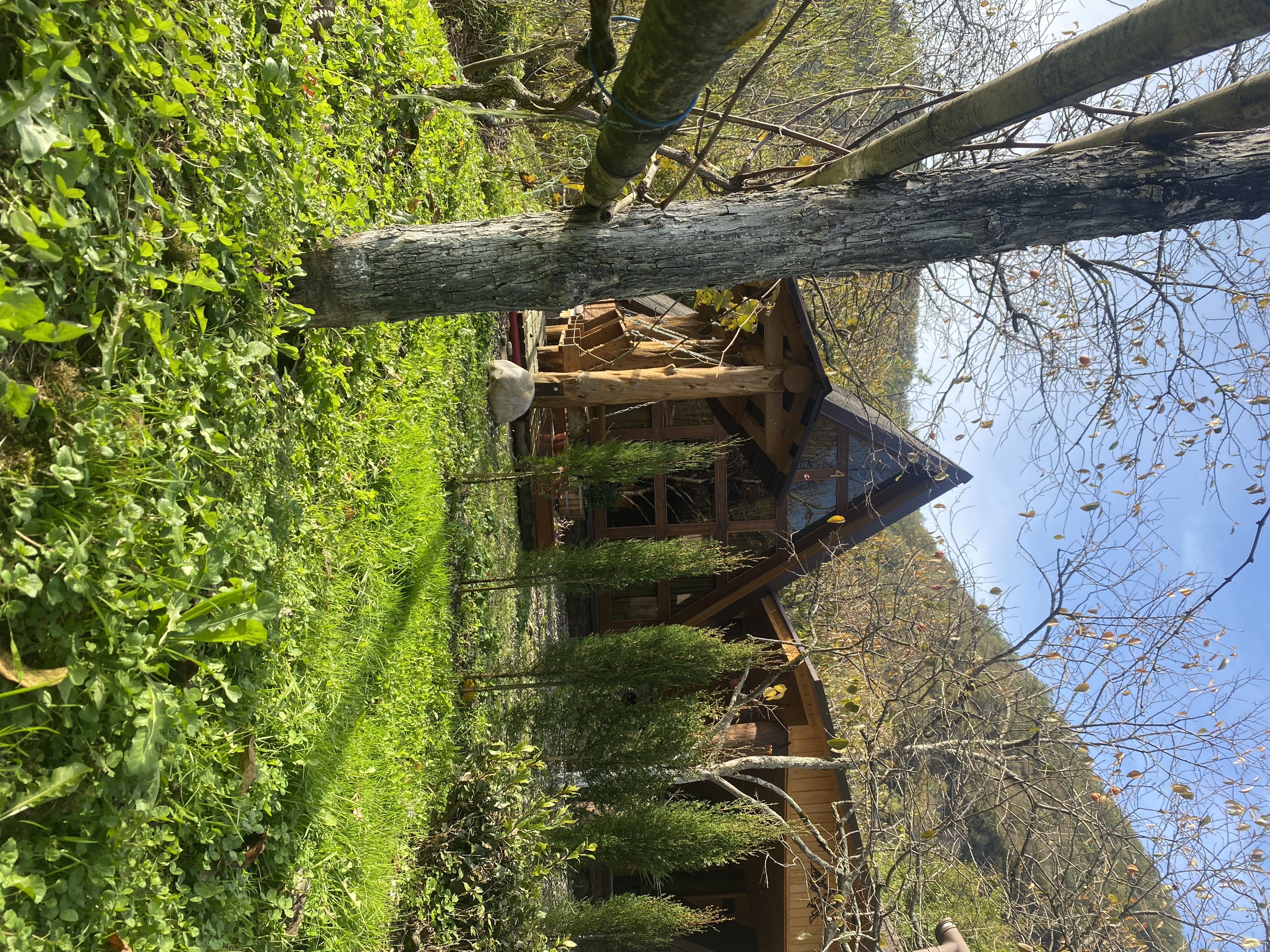 ЭКО-Глэмпинг БУНГАЛО, Гагра — фото 19