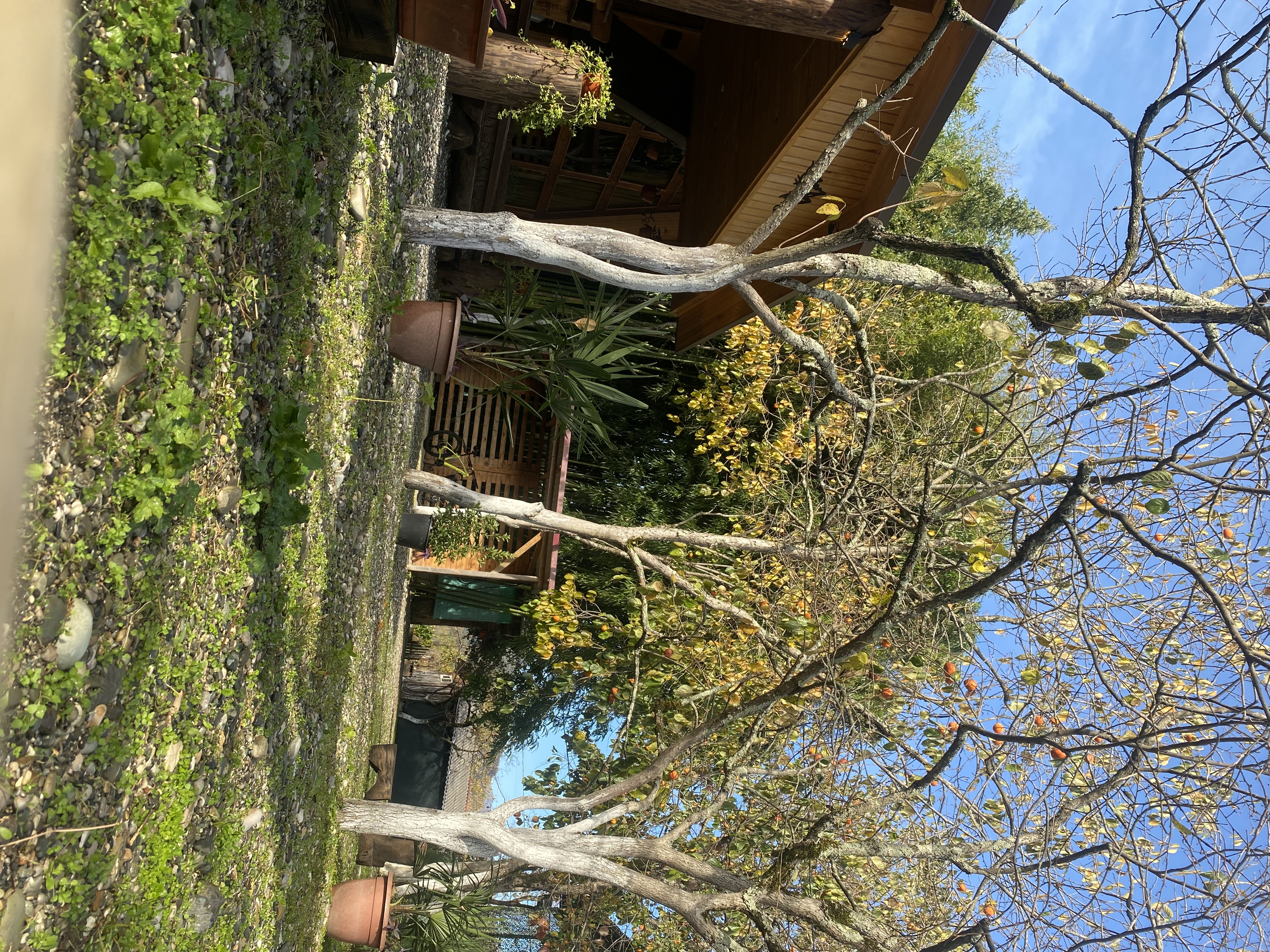 ЭКО-Глэмпинг БУНГАЛО, Гагра — фото 148