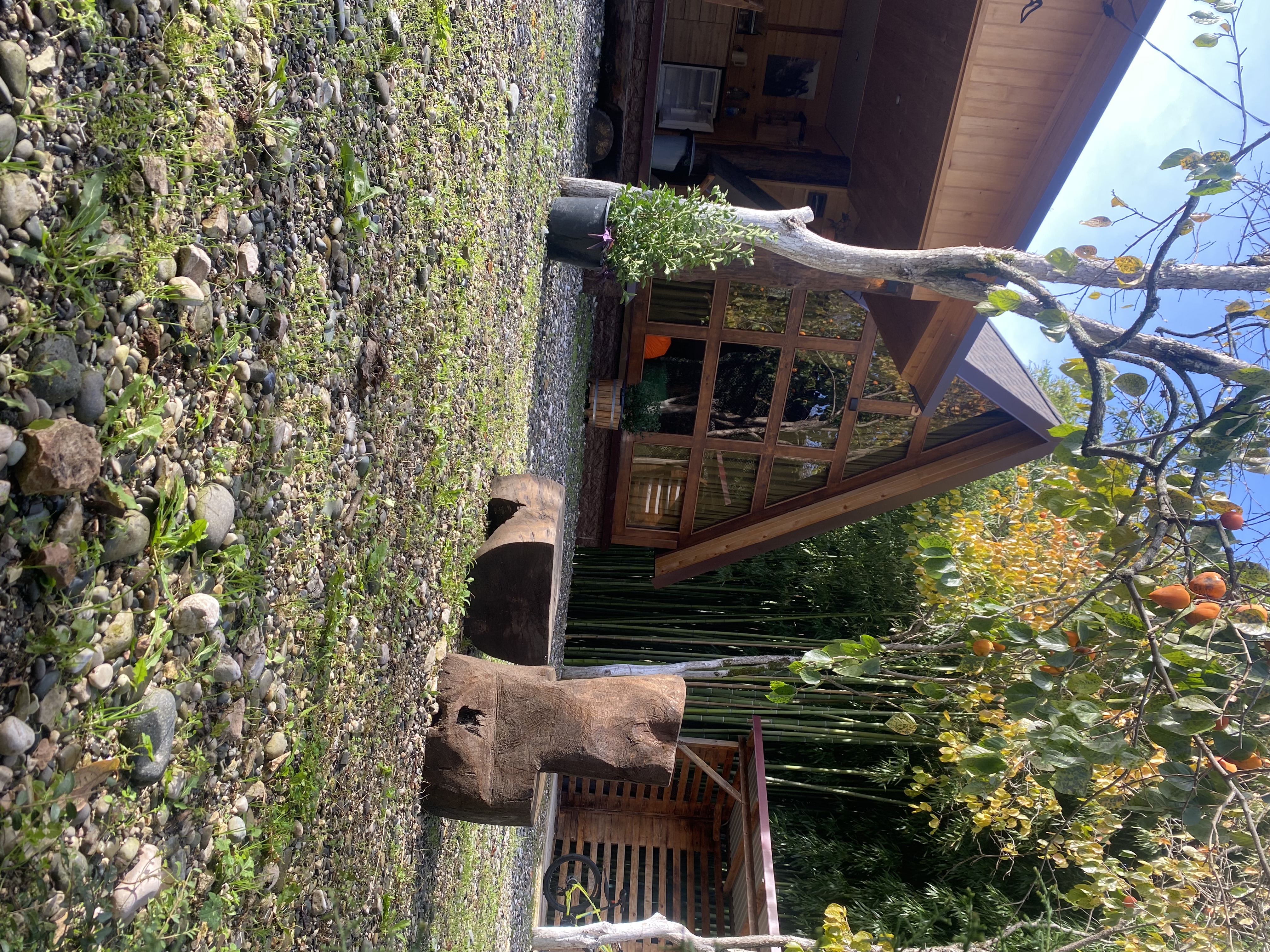 ЭКО-Глэмпинг БУНГАЛО, Гагра — фото 81