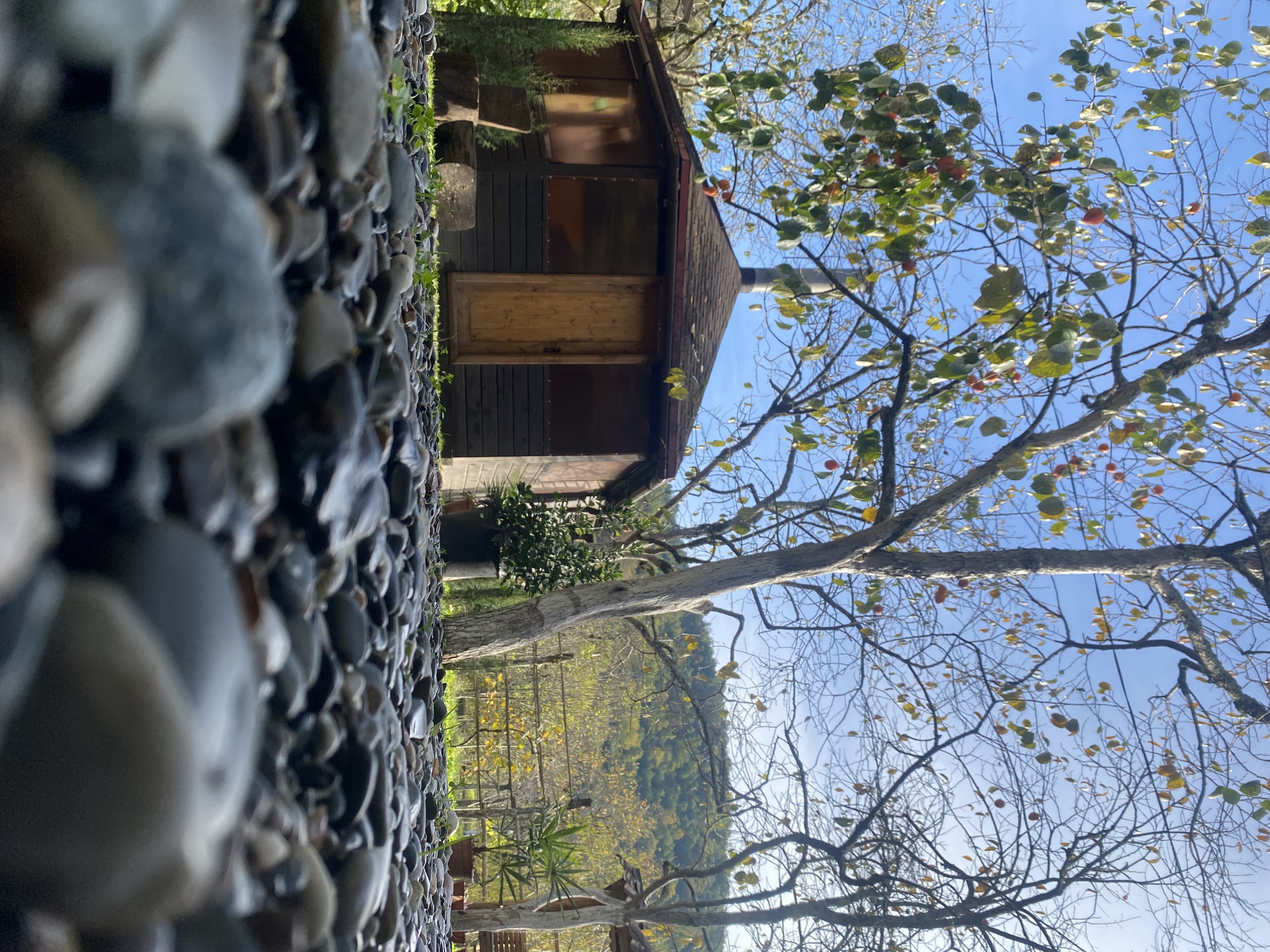 ЭКО-Глэмпинг БУНГАЛО, Гагра — фото 157