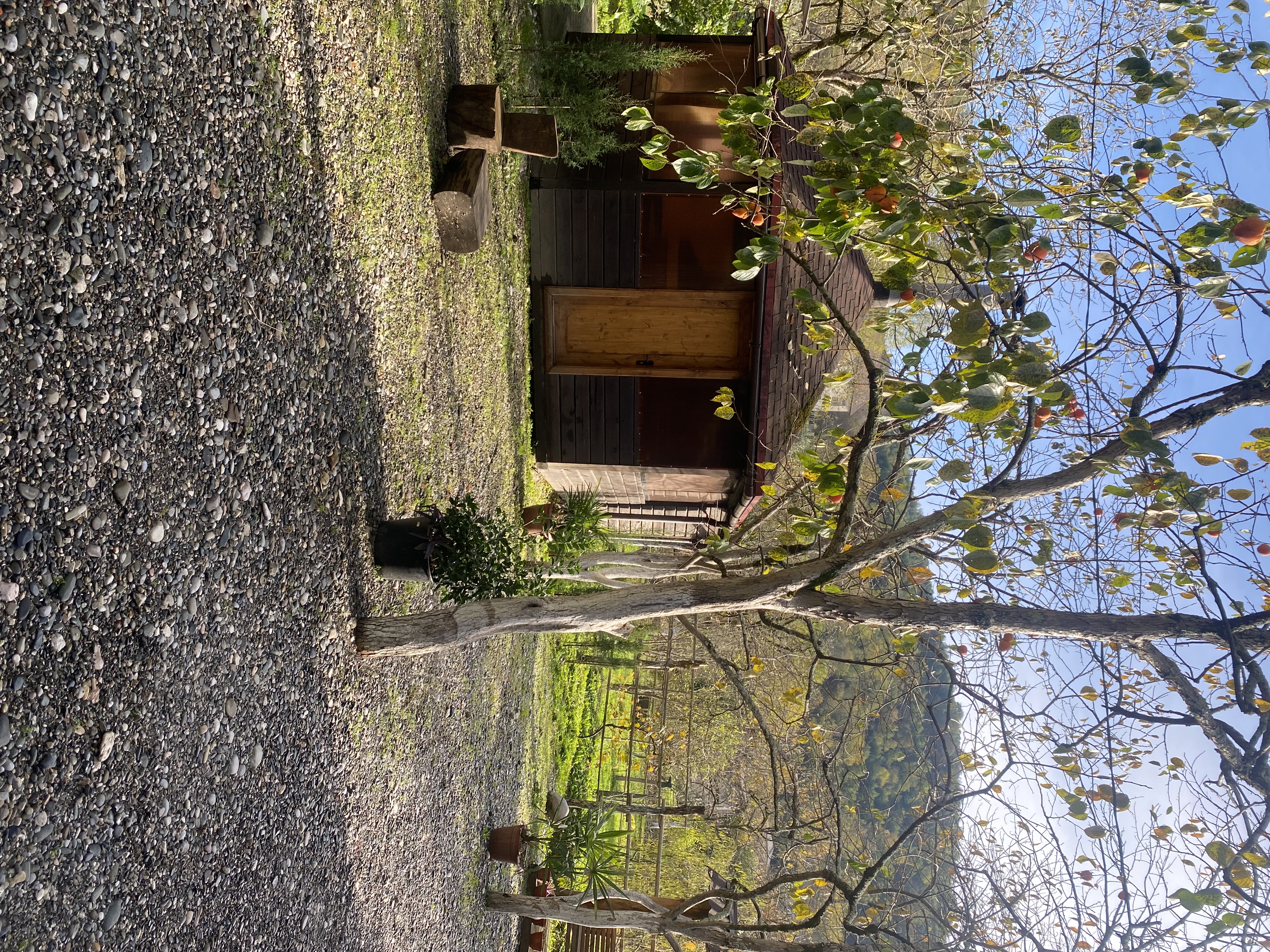 ЭКО-Глэмпинг БУНГАЛО, Гагра — фото 83