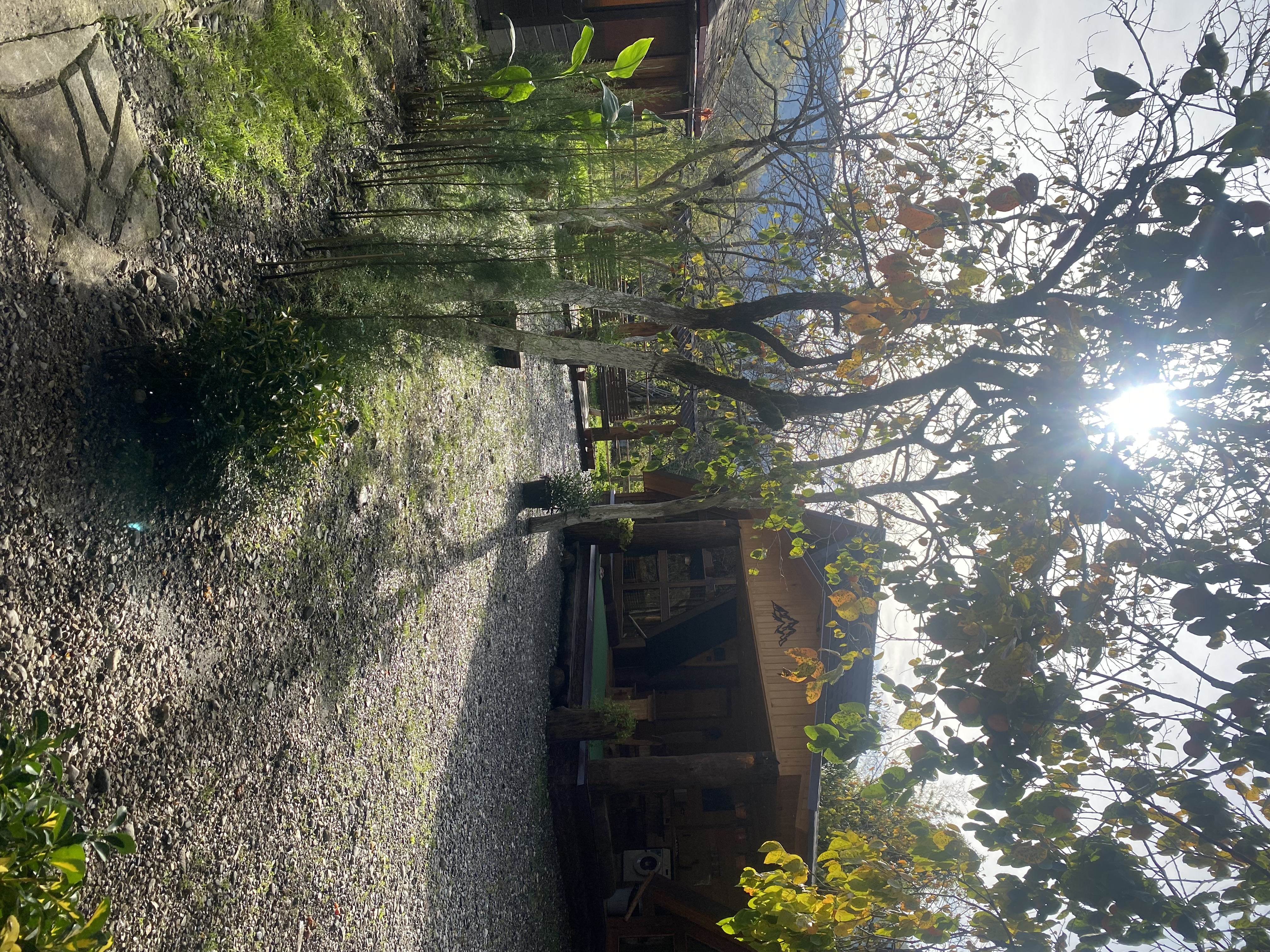 ЭКО-Глэмпинг БУНГАЛО, Гагра — фото 149