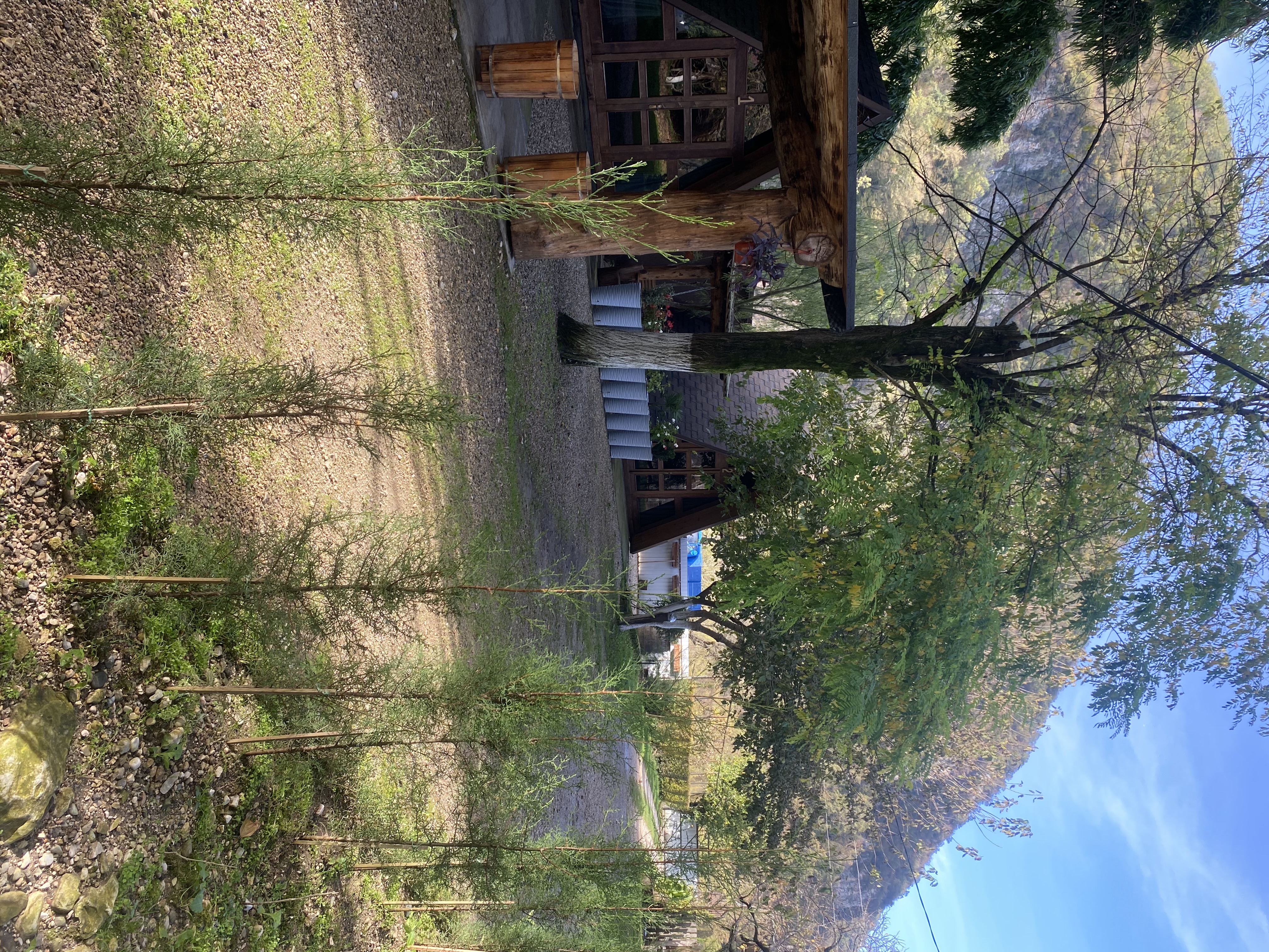 ЭКО-Глэмпинг БУНГАЛО, Гагра — фото 150