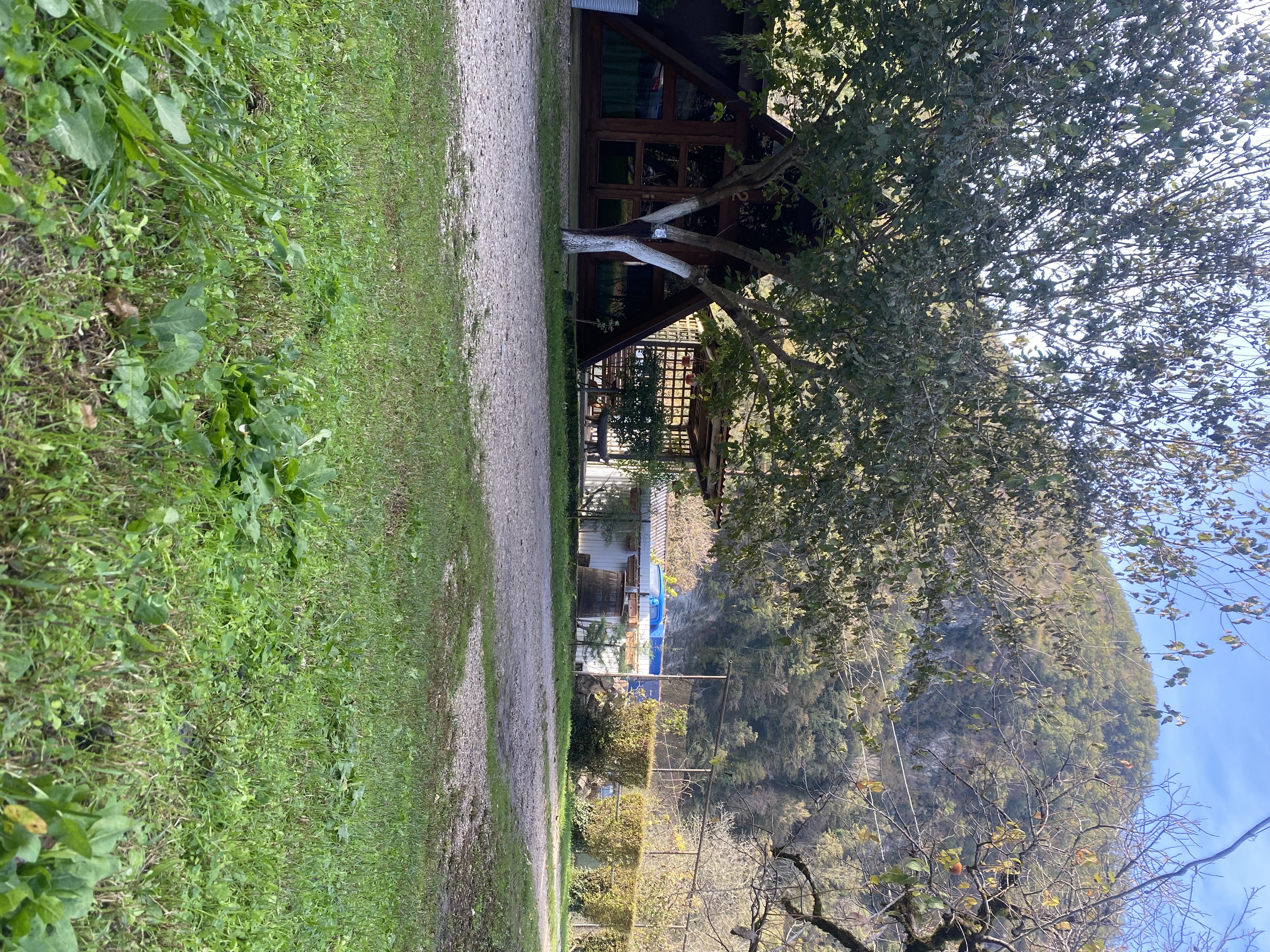 ЭКО-Глэмпинг БУНГАЛО, Гагра — фото 158